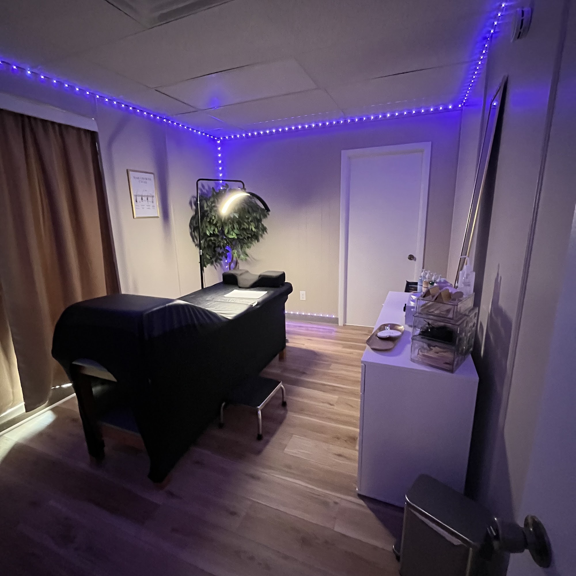 REVIVE Brow + Beauty Bar