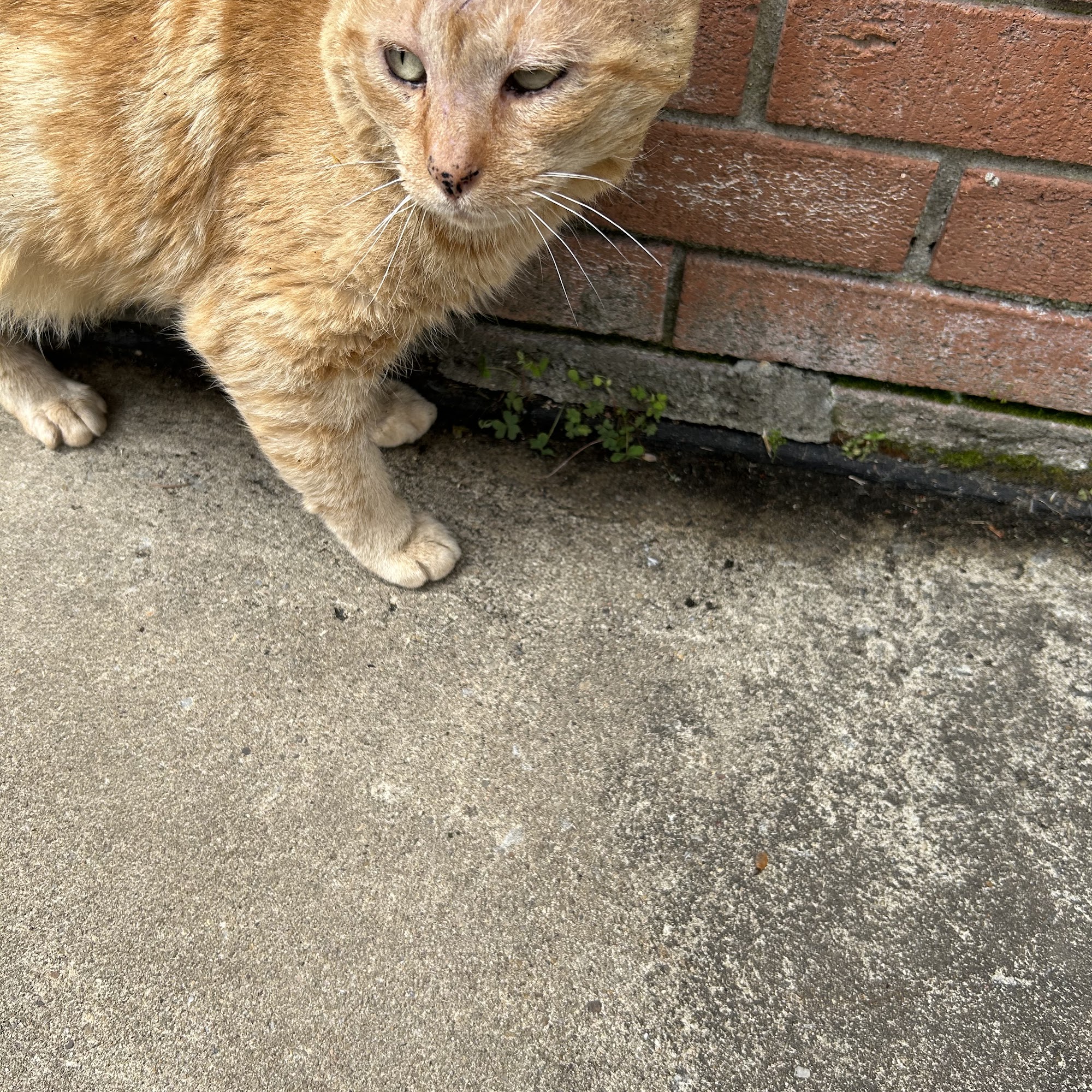 William E Wise Veterinary Clinic Punxsutawney