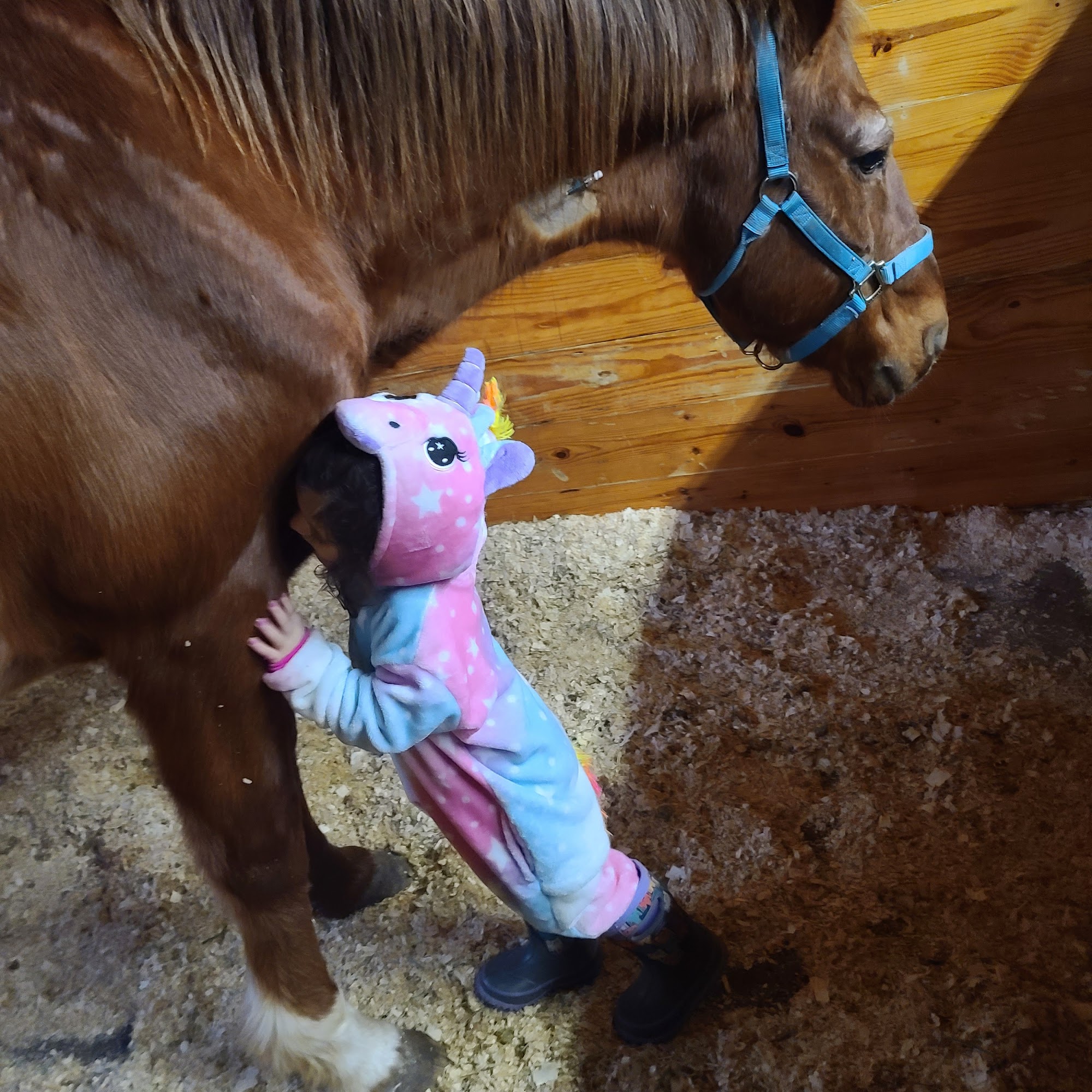 Quakertown Veterinary Clinic Quakertown