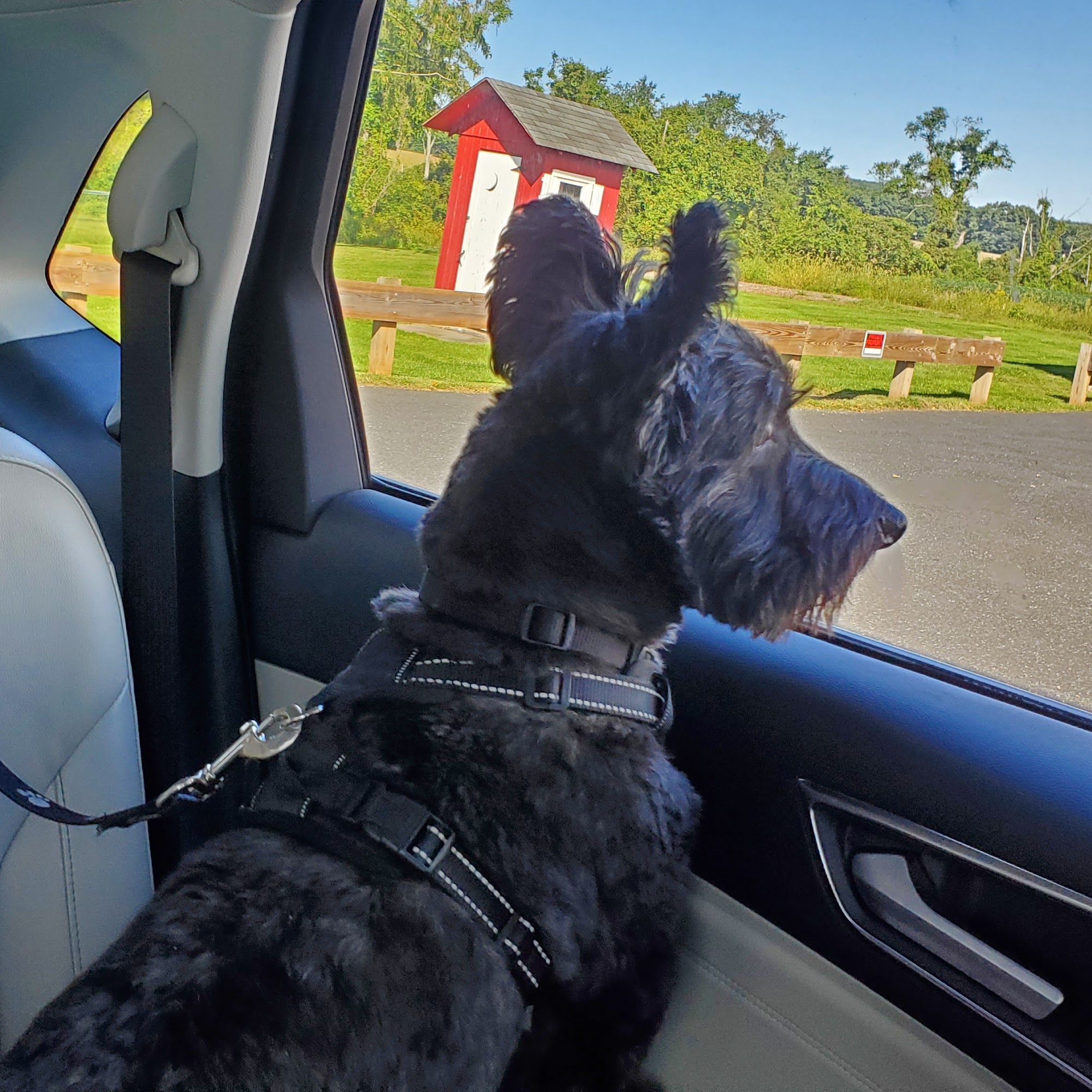 Pleasant Valley Animal Hospital Quakertown