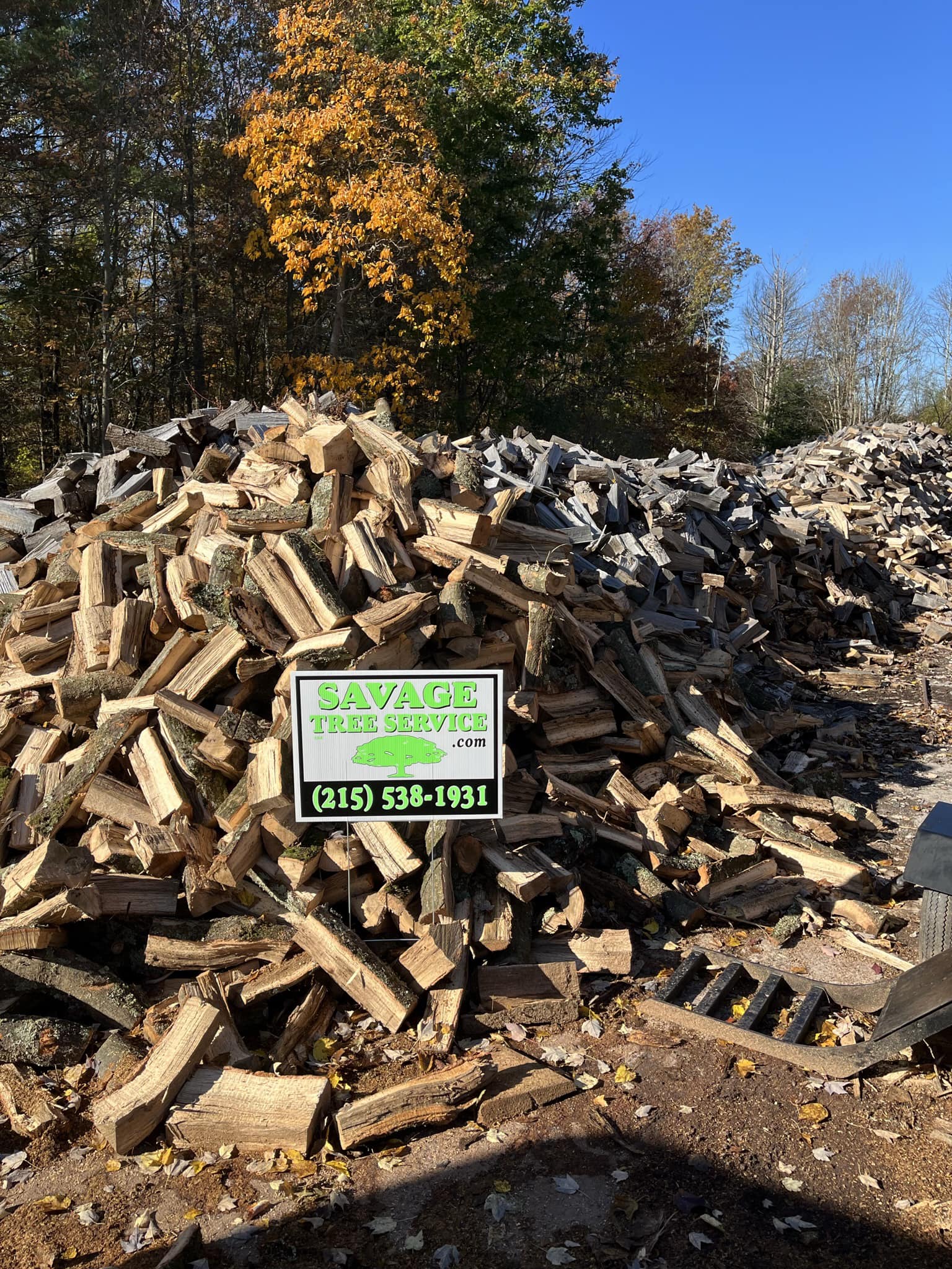 Savage Tree Service LLC 1031 Brookfield Cir, Quakertown Pennsylvania 18951
