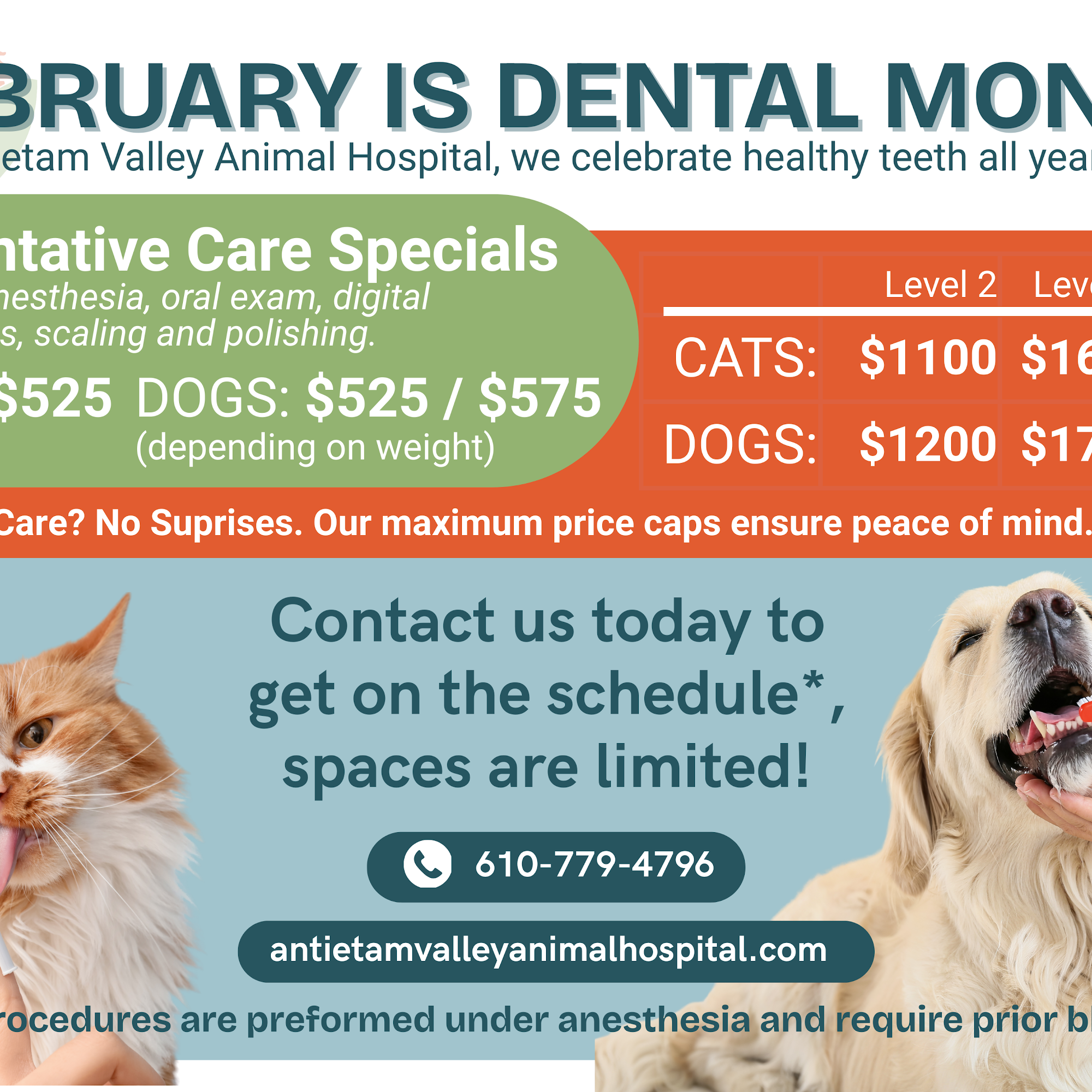 Antietam Valley Animal Hospital Reading