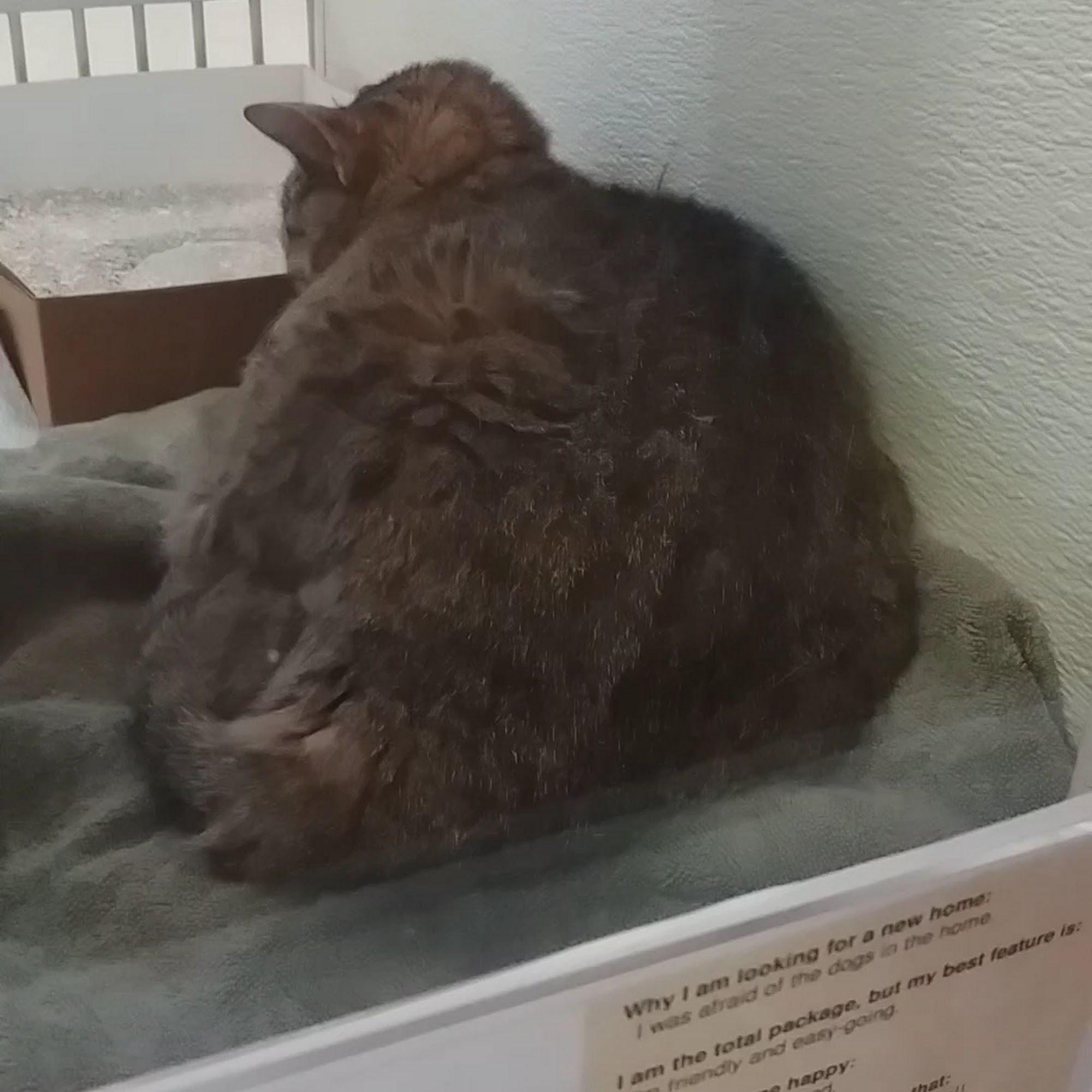 Humane Pennsylvania Freedom Center for Animal Life-Saving Reading