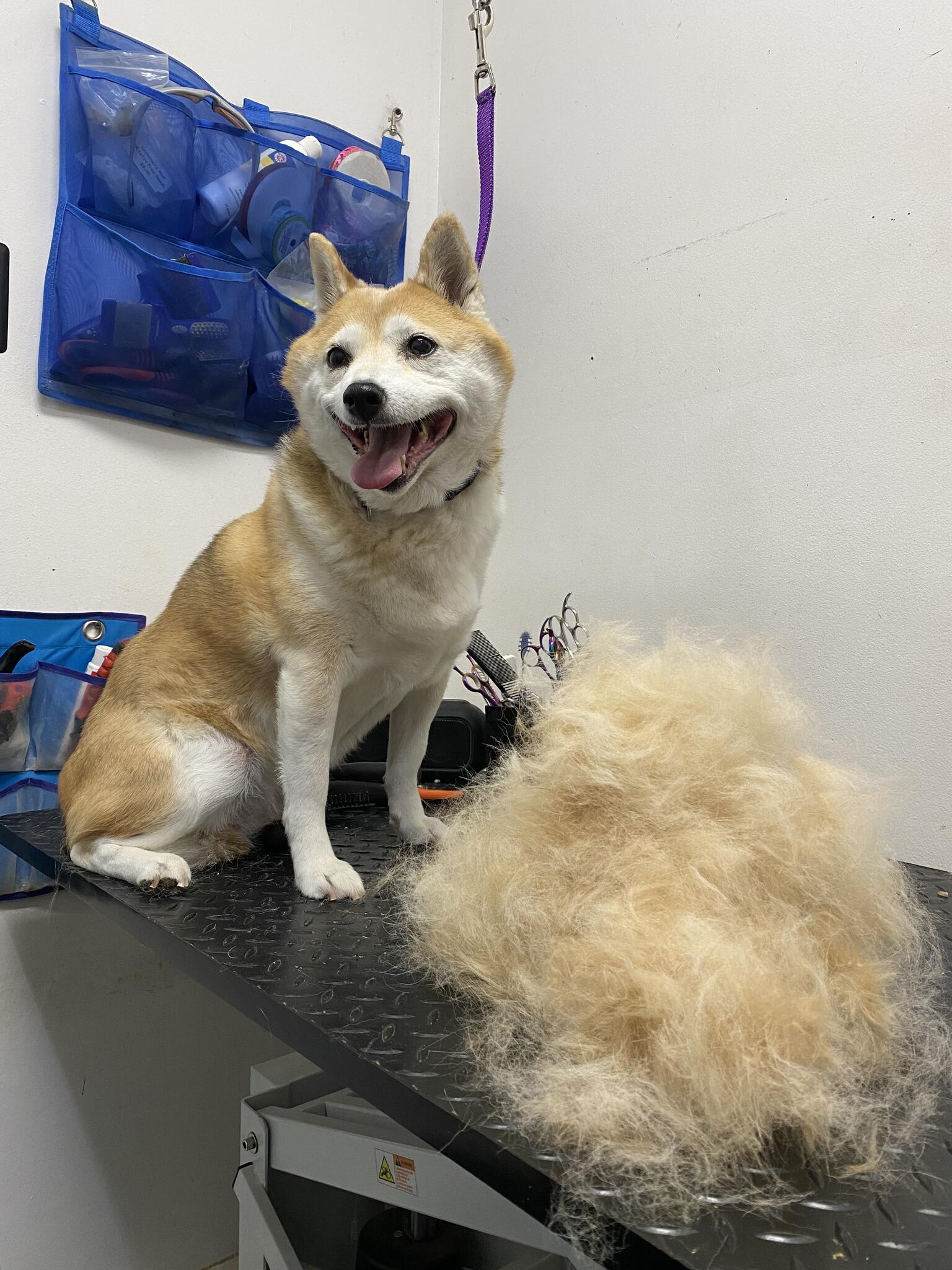 Nicki's Cutz Reading