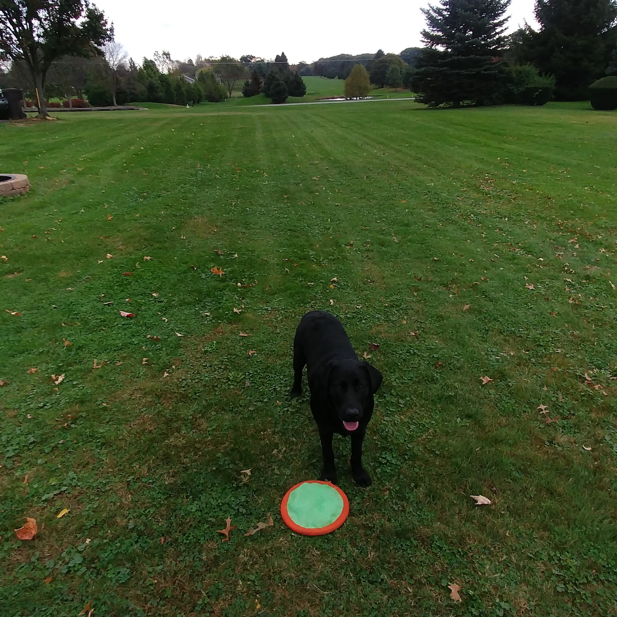 Animal Clinic of Butler, LLC. Renfrew