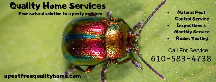 Quality Home Services of Delaware Valley Inc