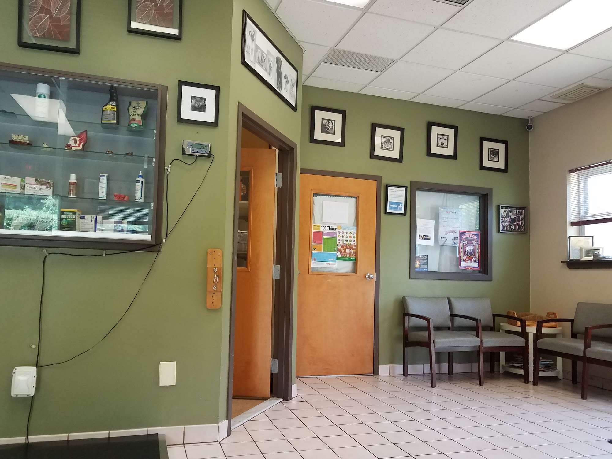 Hamilton Animal Hospital Roslyn