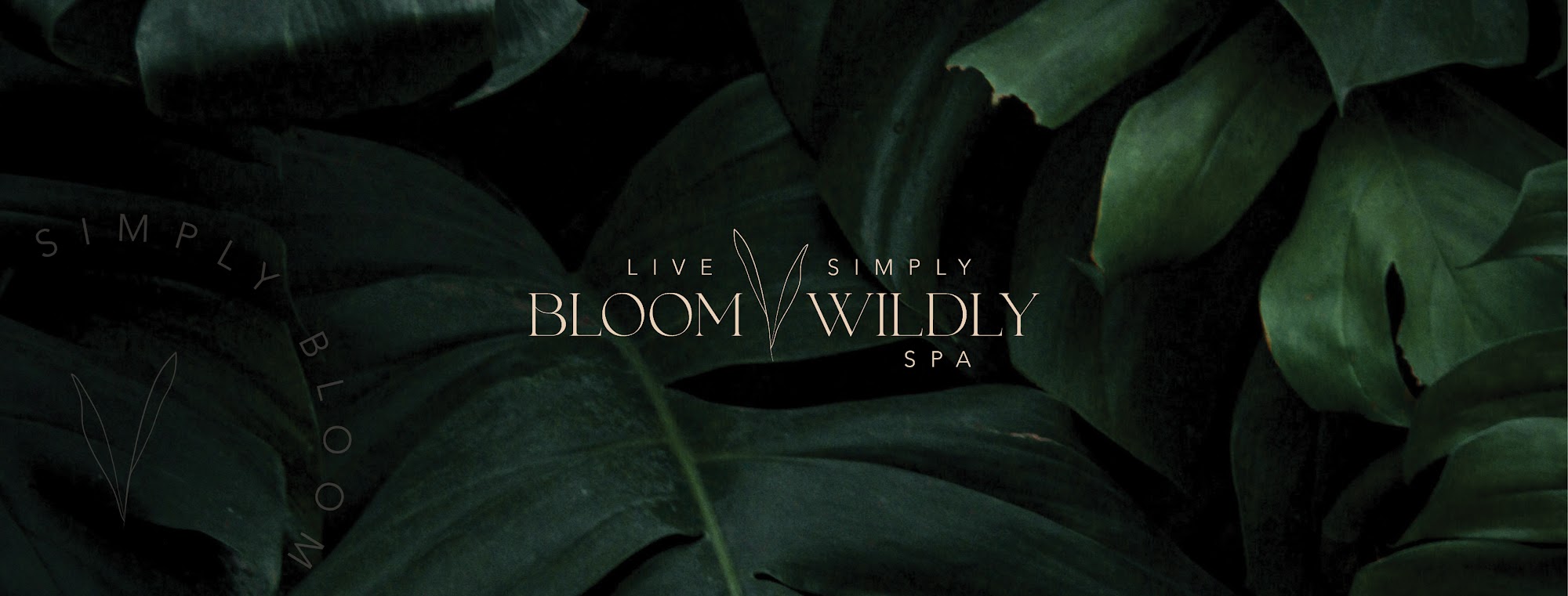 Live Simply Bloom Wildly Spa 1266 St Thomas Williamson Rd, St Thomas Pennsylvania 17252