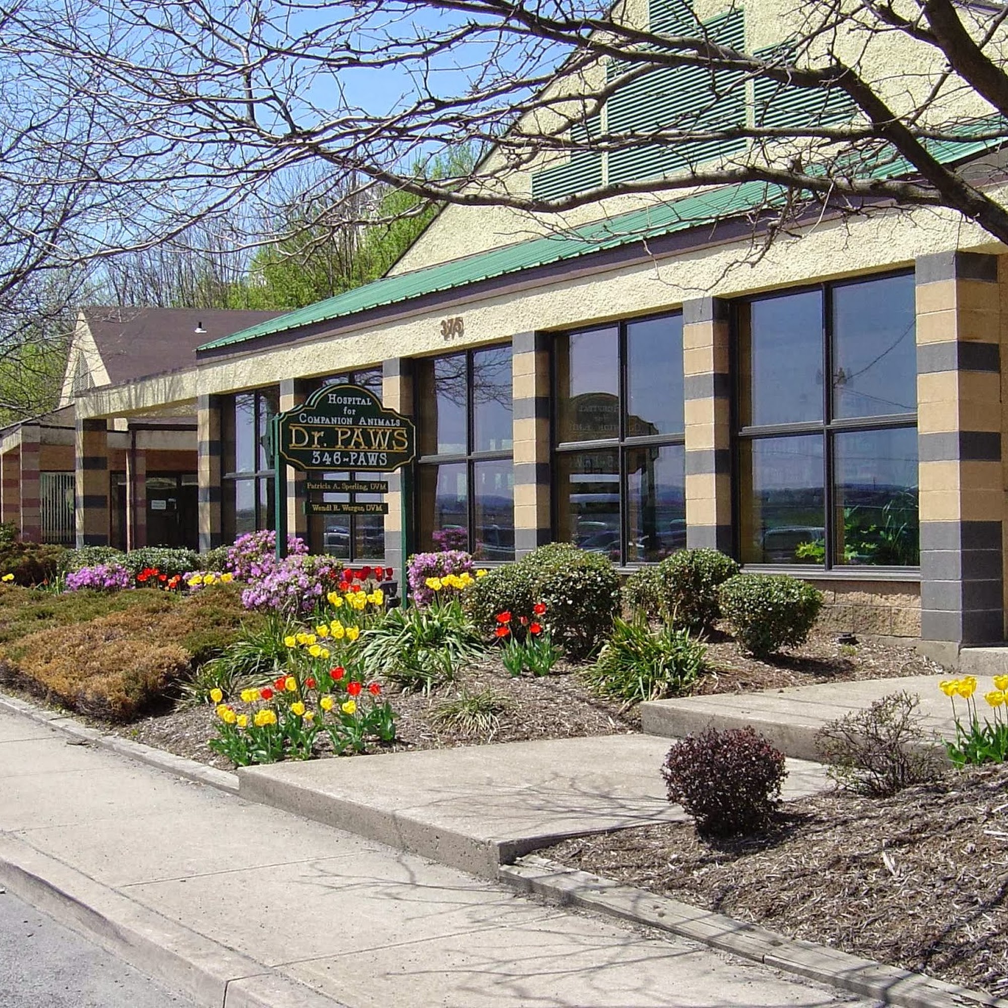 Dr Paws Inc Scranton