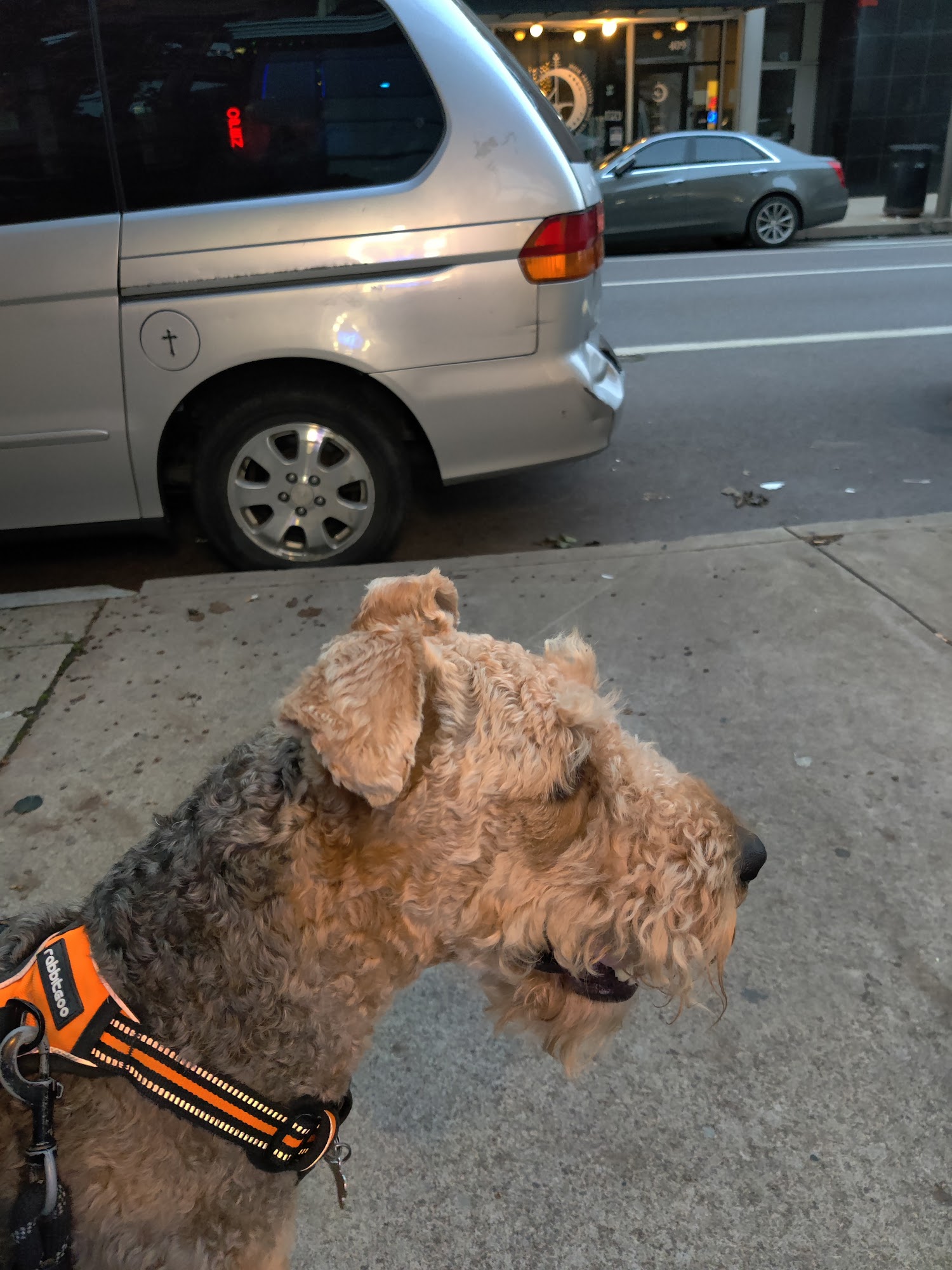 Scoops on Spruce Scranton