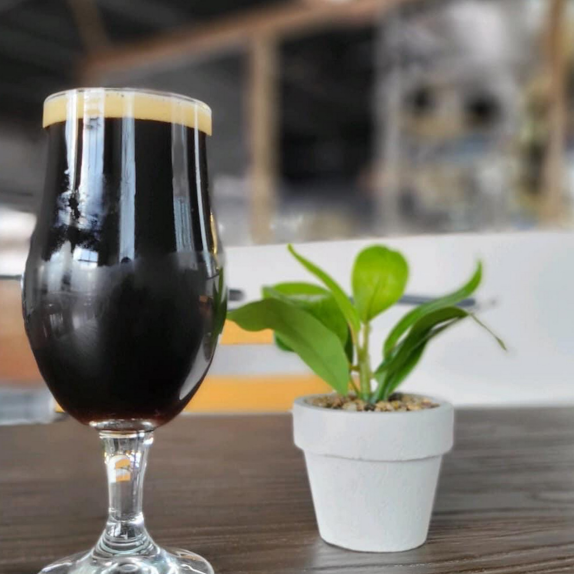 Groove Brewing Scranton