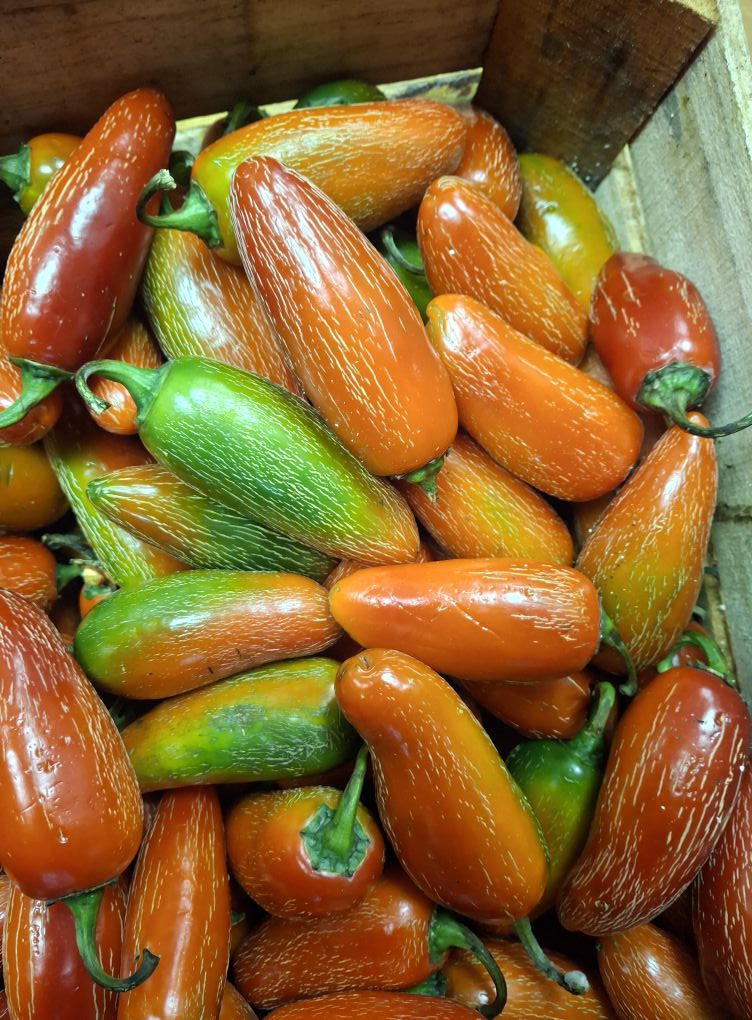 La Campesina Grocery