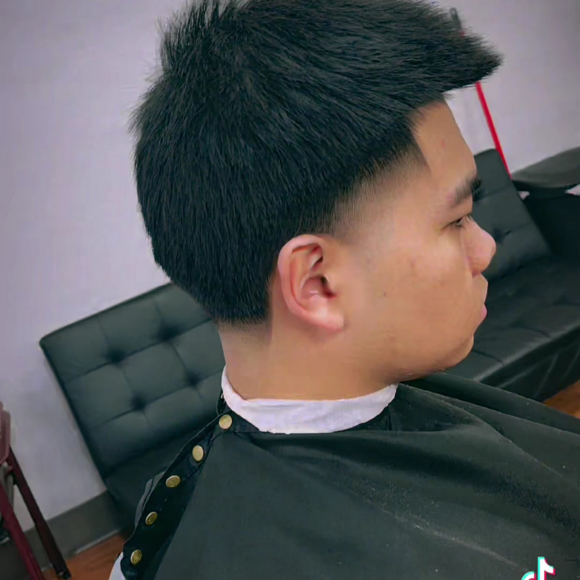 Bear The Barber 