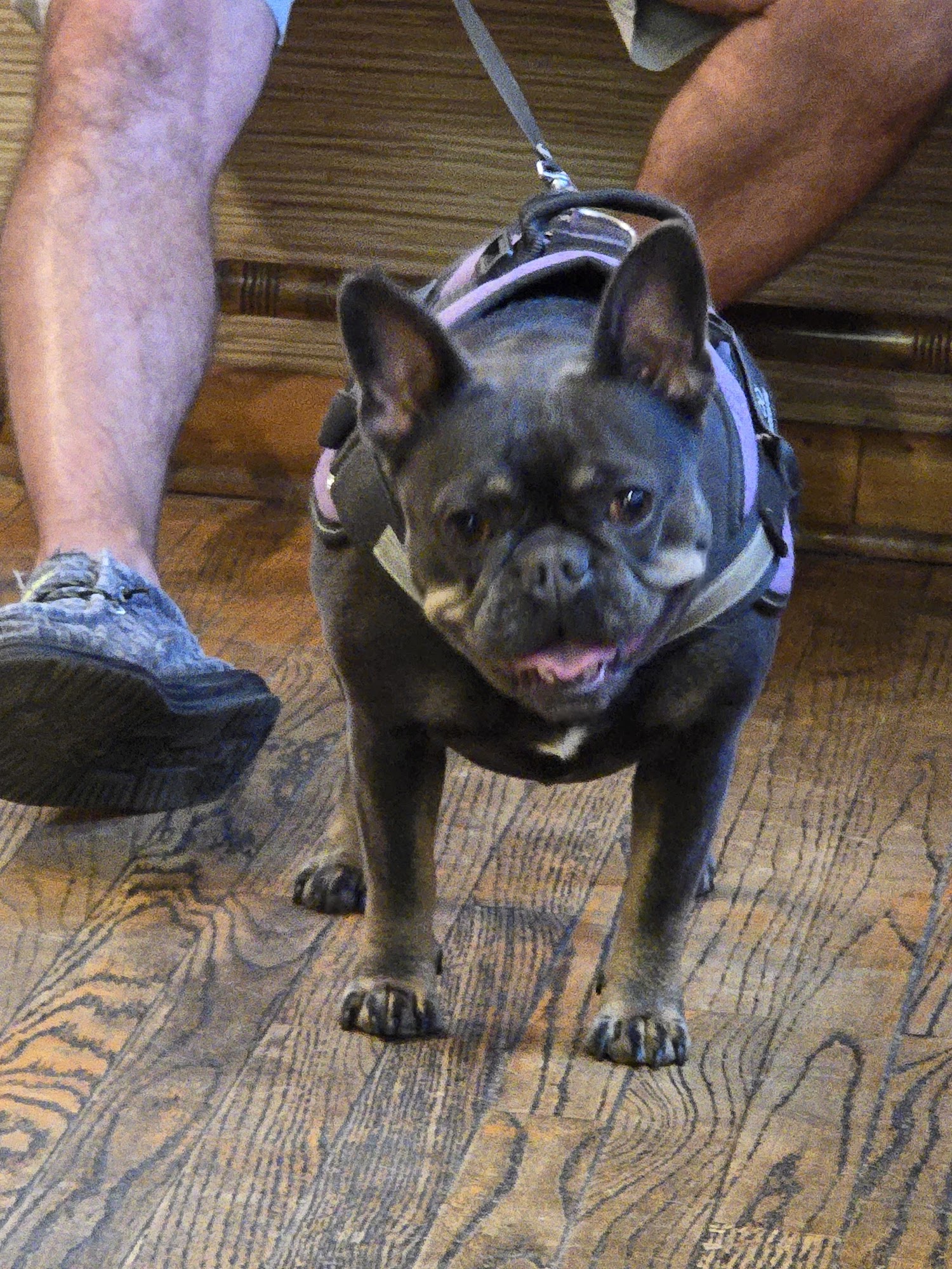 Trucksville Dog & Cat Hospital Shavertown