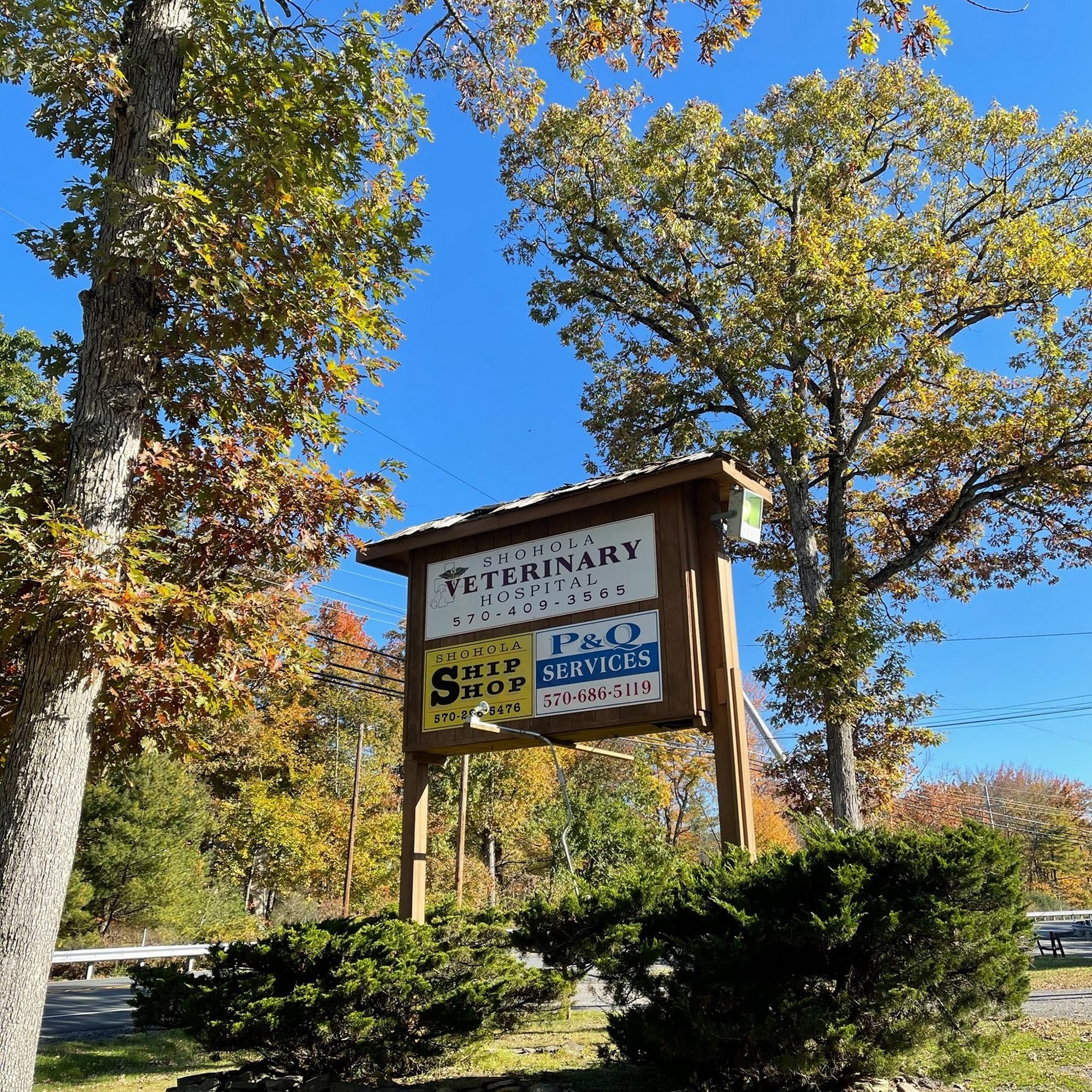 Shohola Veterinary Hospital Shohola