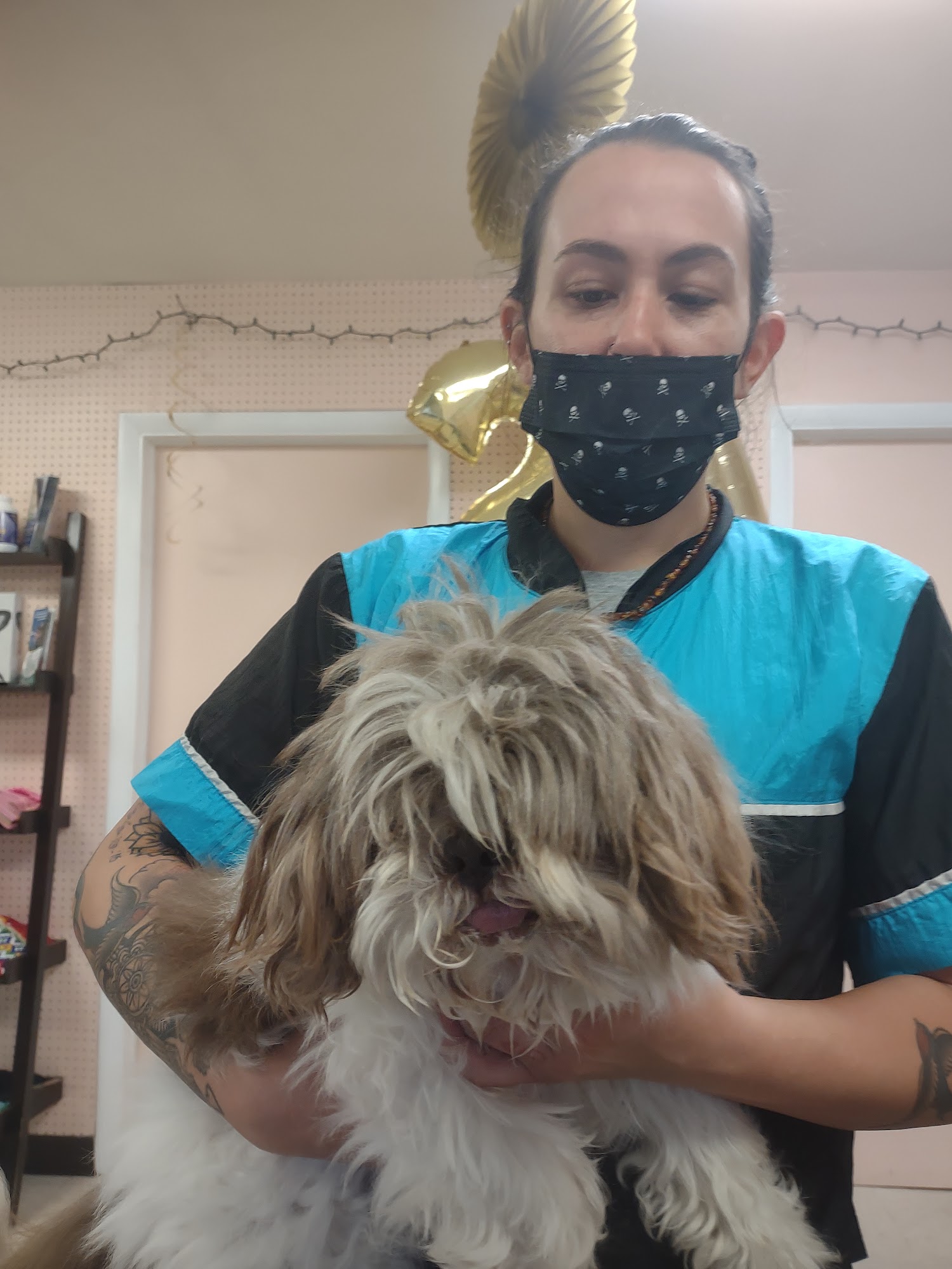 Who's Walking Who Pet Grooming Sinking Spring