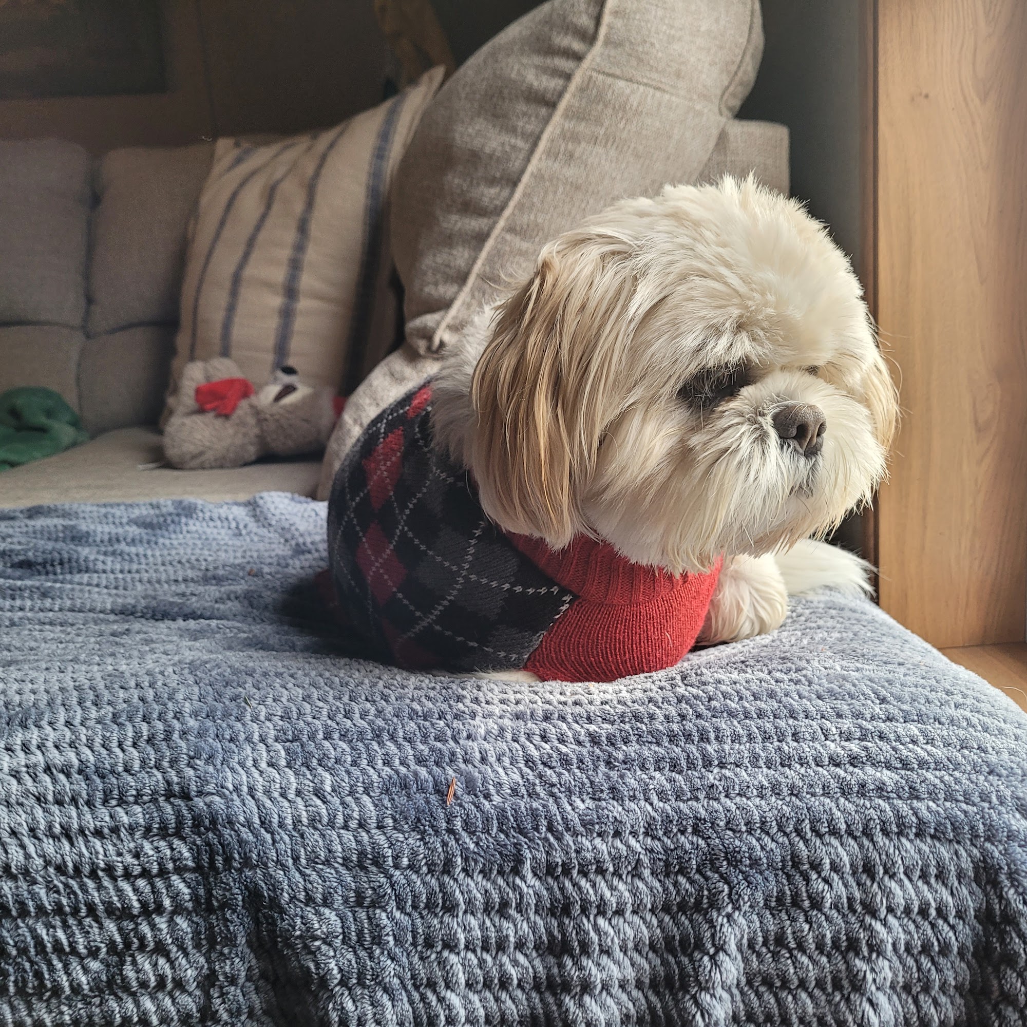 Alpine Trail Vet Clinic Inc Slippery Rock