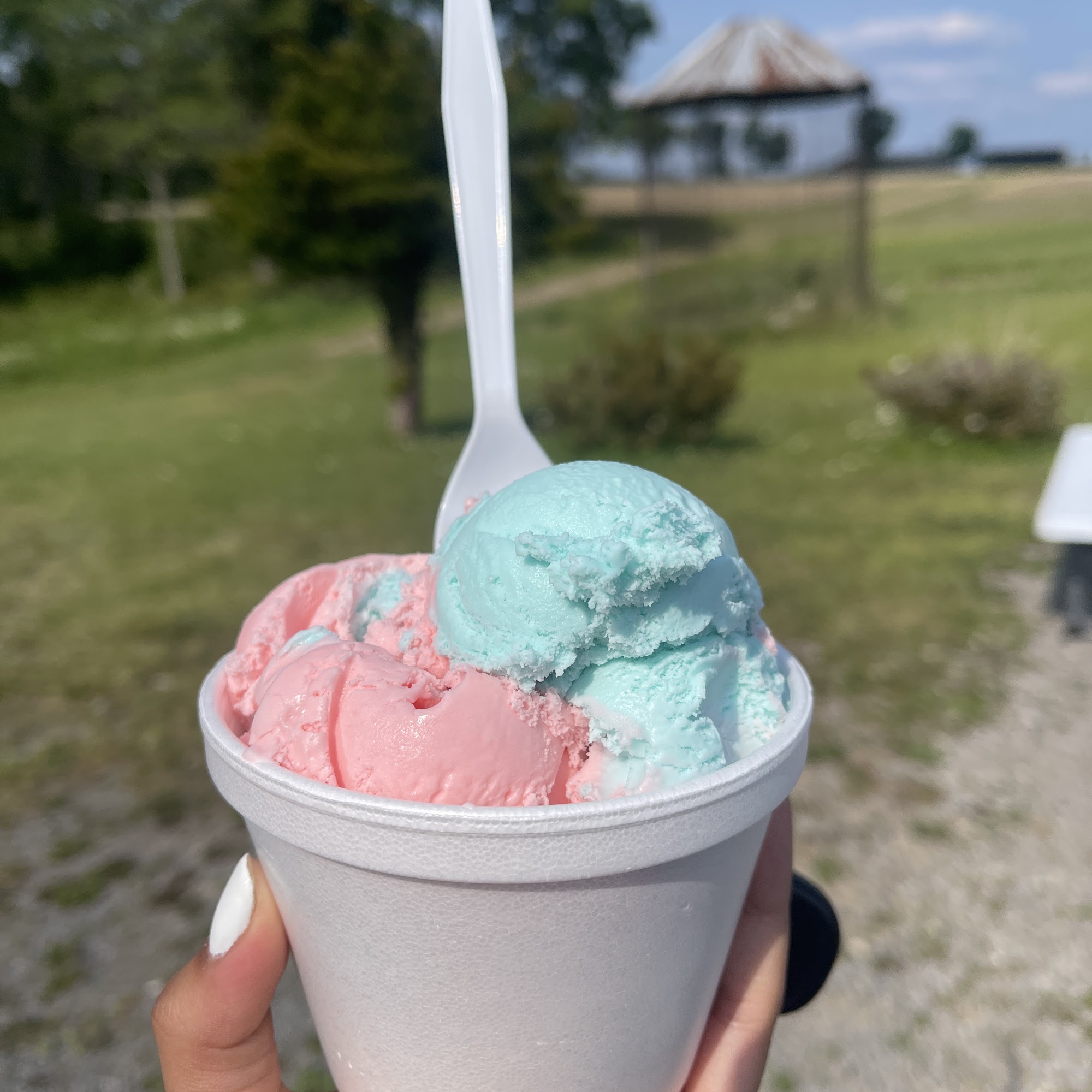 Sweet dreams ice cream shop 446 E Sycamore Rd, Snow Shoe