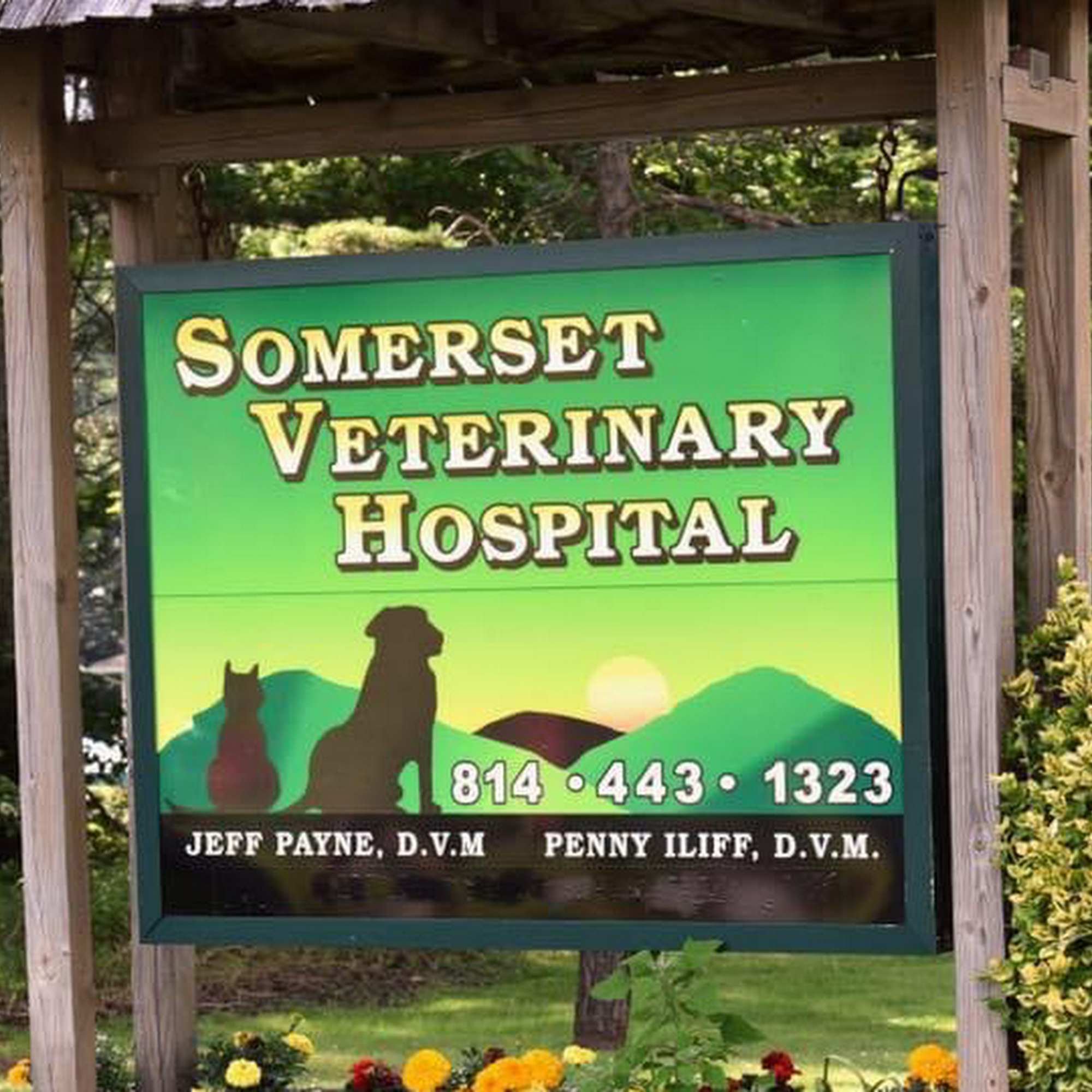Somerset Veterinary Hospital Somerset