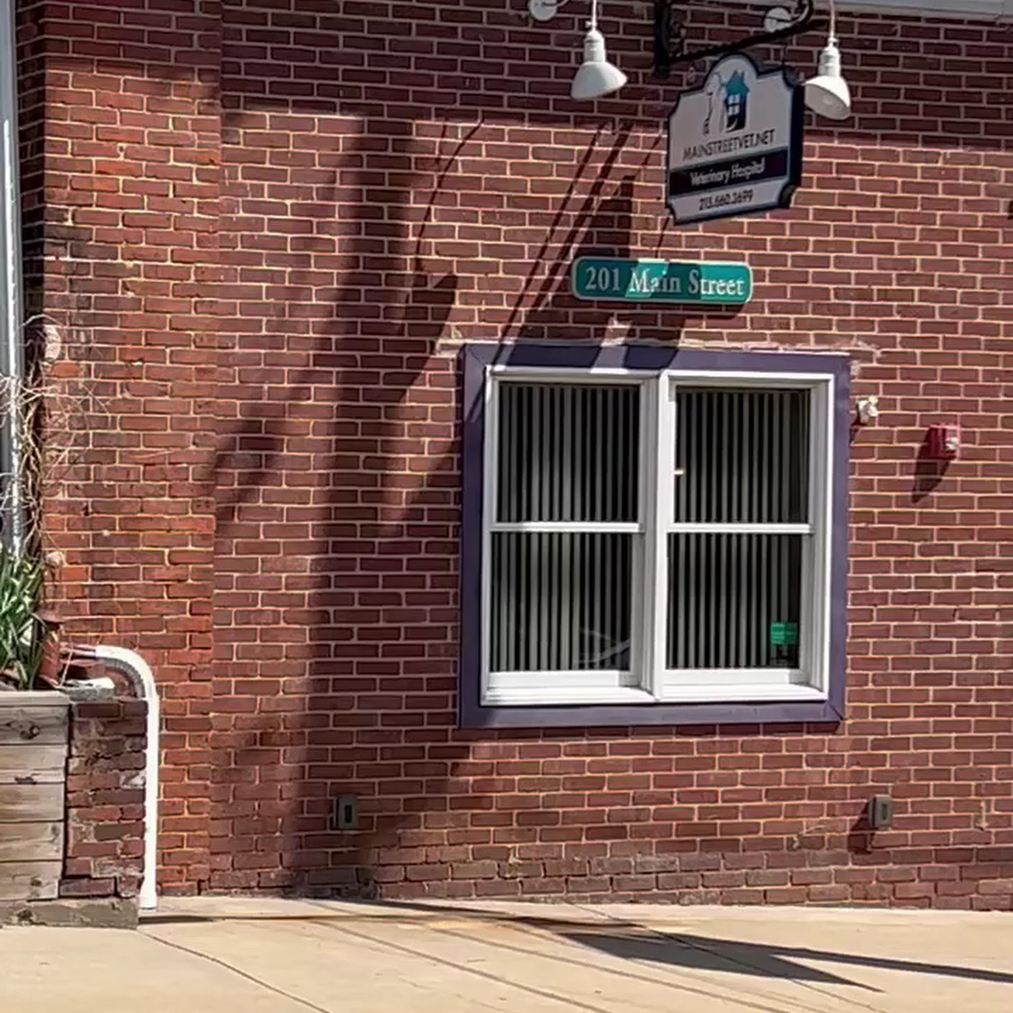 MainStreetVet.net Souderton