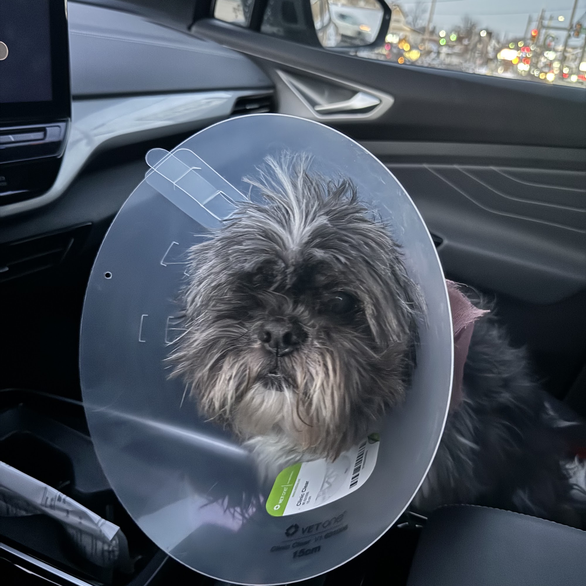 Family Pet Clinic Southampton