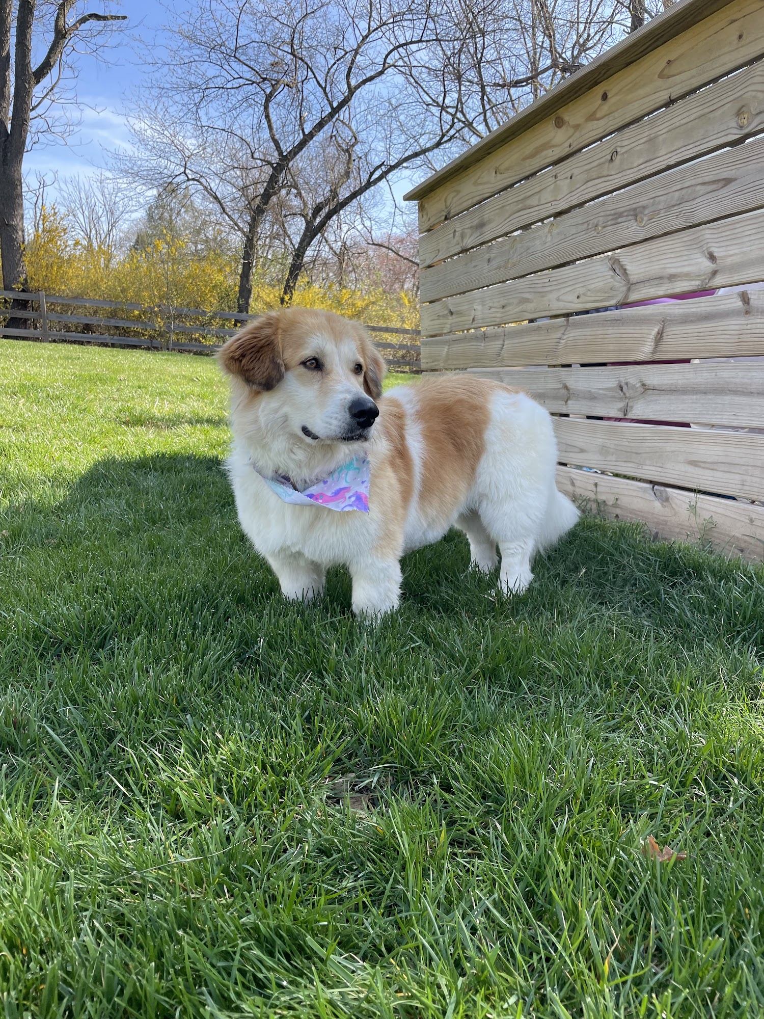 Riverside Grooming & Spa Spring City