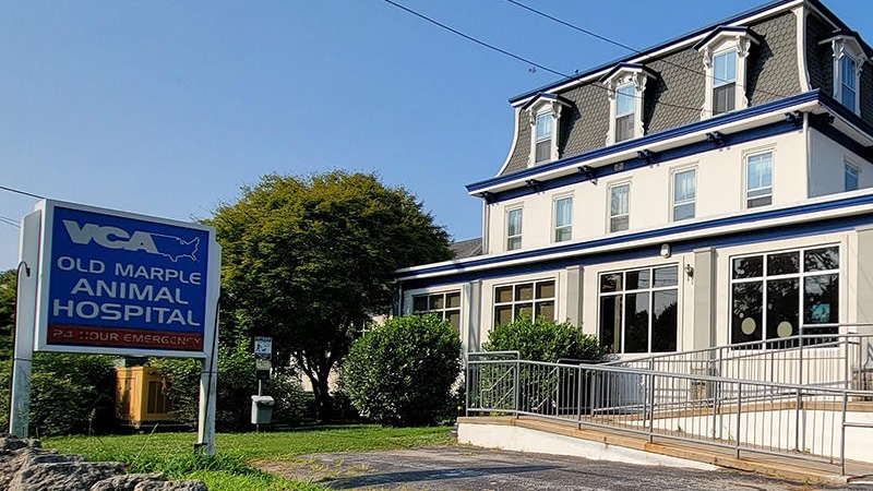 VCA Old Marple Animal Hospital Springfield