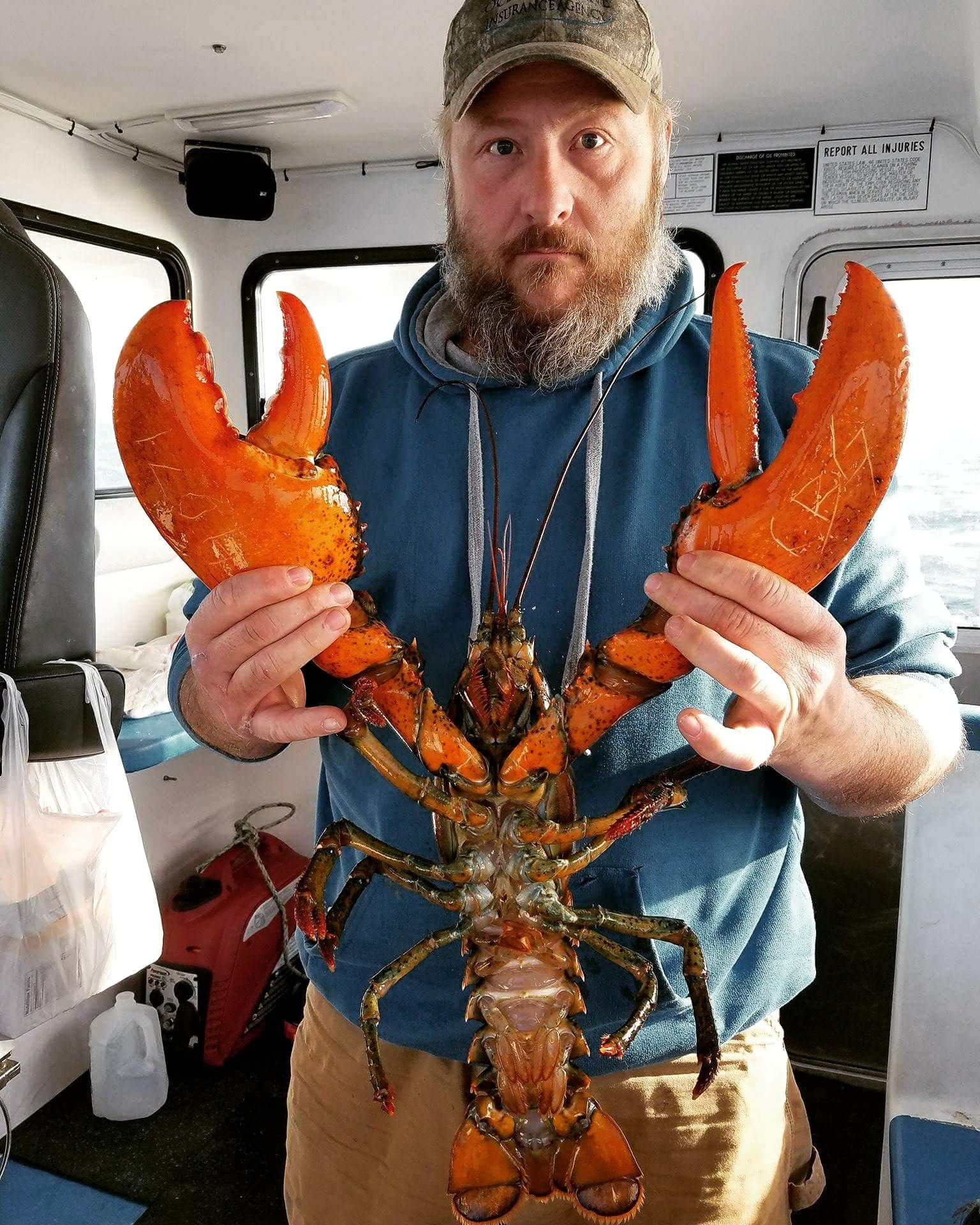 Maine Bay & Berry Co. Menu