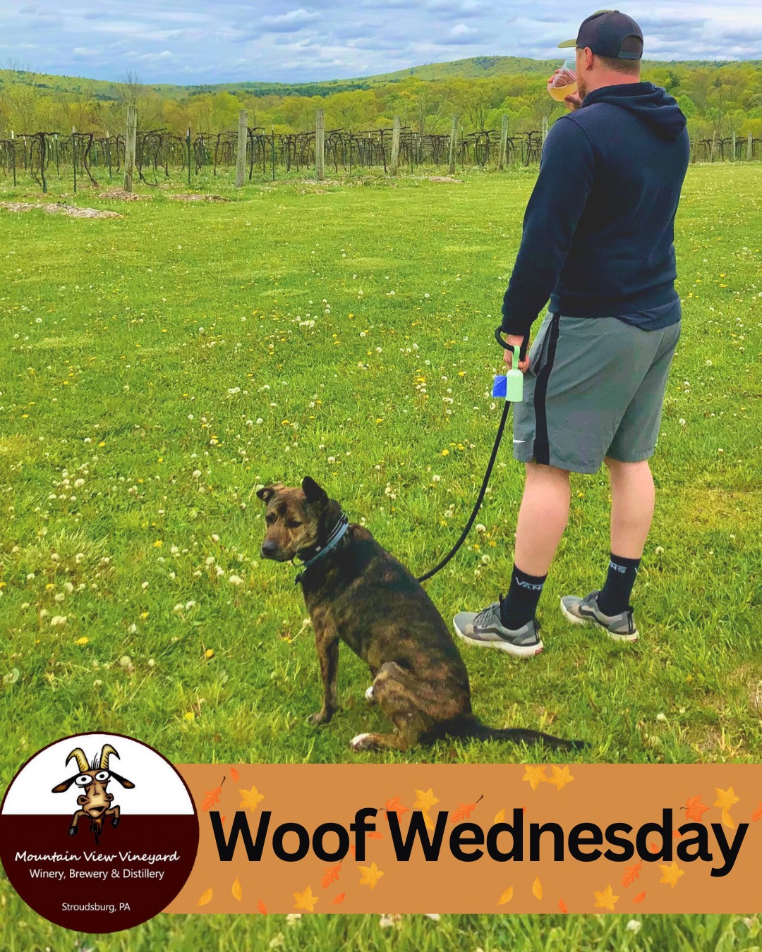 Mountain View Vineyard, Winery, Brewery & Distillery Stroudsburg