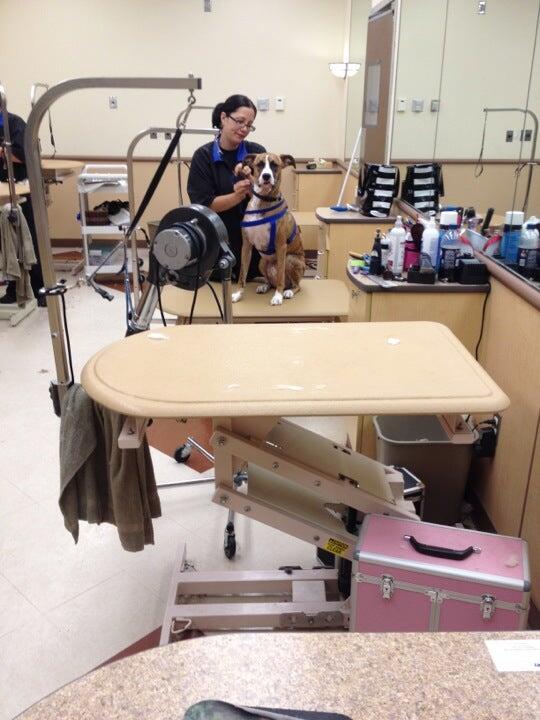 PetSmart Stroudsburg