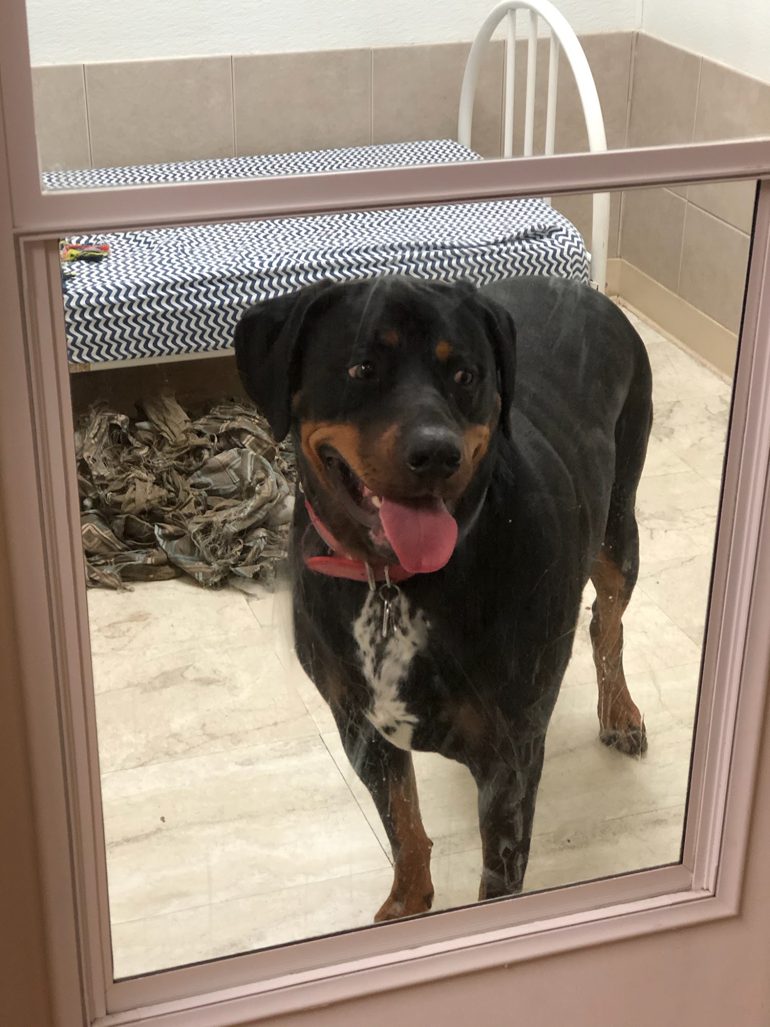 Pocono Bed & Biscuits Stroudsburg