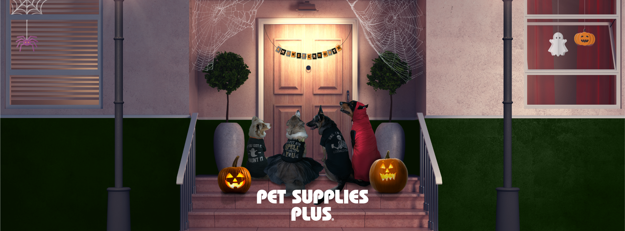 Pet Supplies Plus Telford Telford