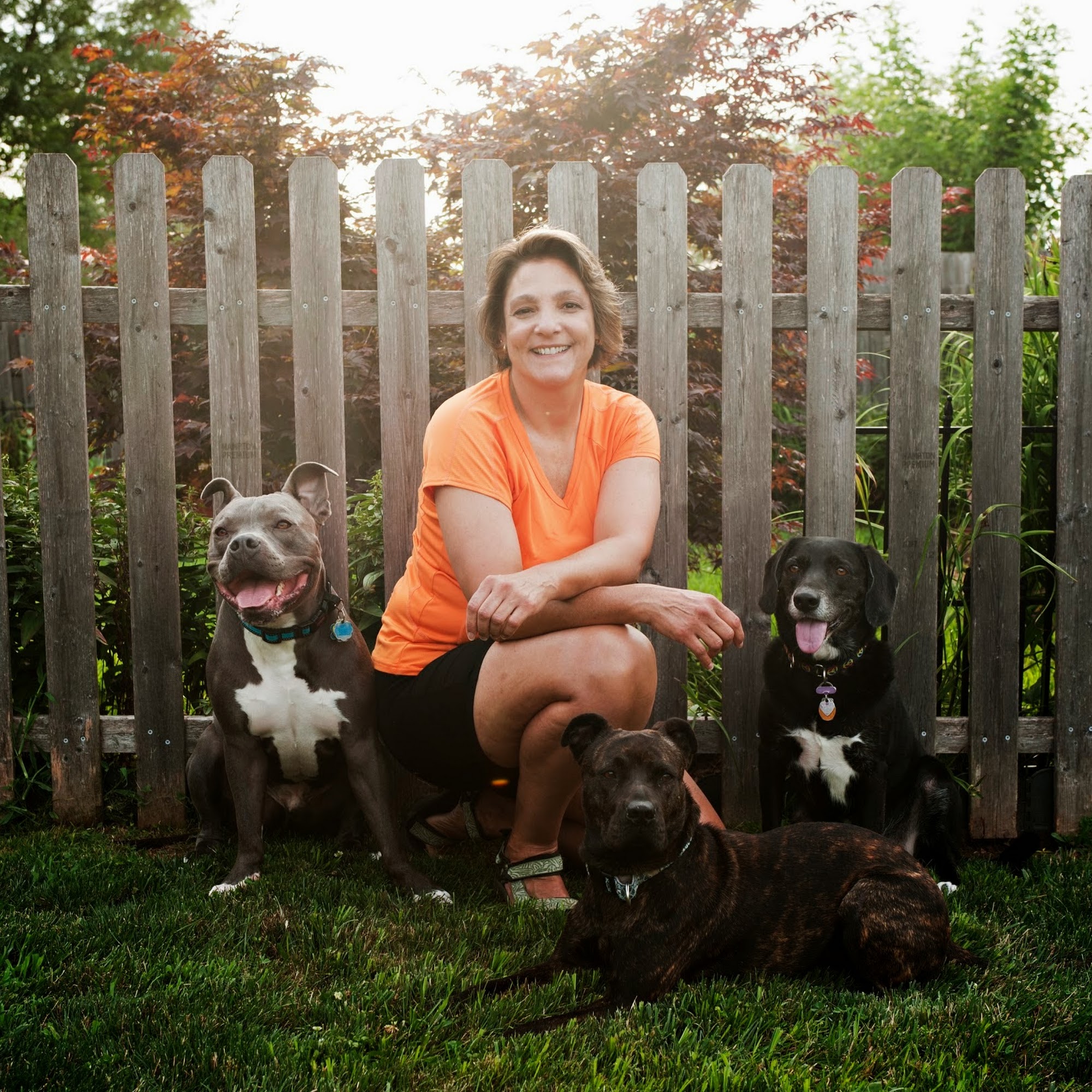 REHAB Dog Training LLC Telford