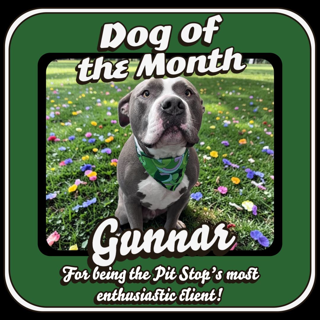Reading Dog Grooming & Pet Spa