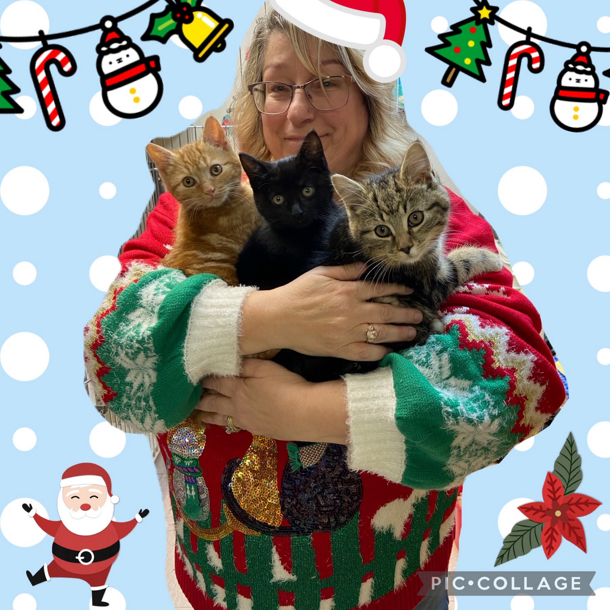 Critter Care Veterinary Hospital in Thorndale PA Thorndale