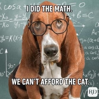 Heartland Pet Salon Thorndale