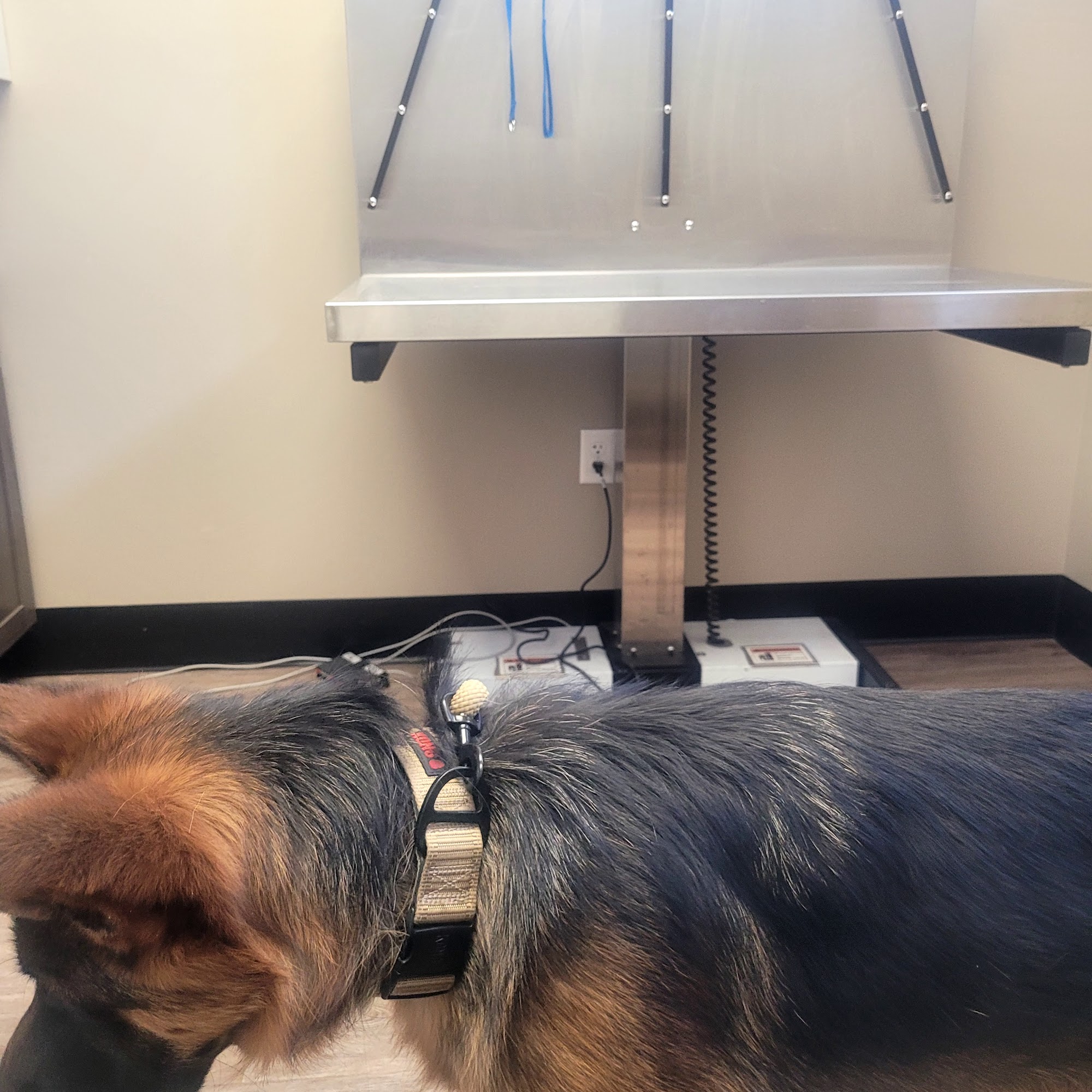 Memorial Veterinary Hospital - Throop Throop