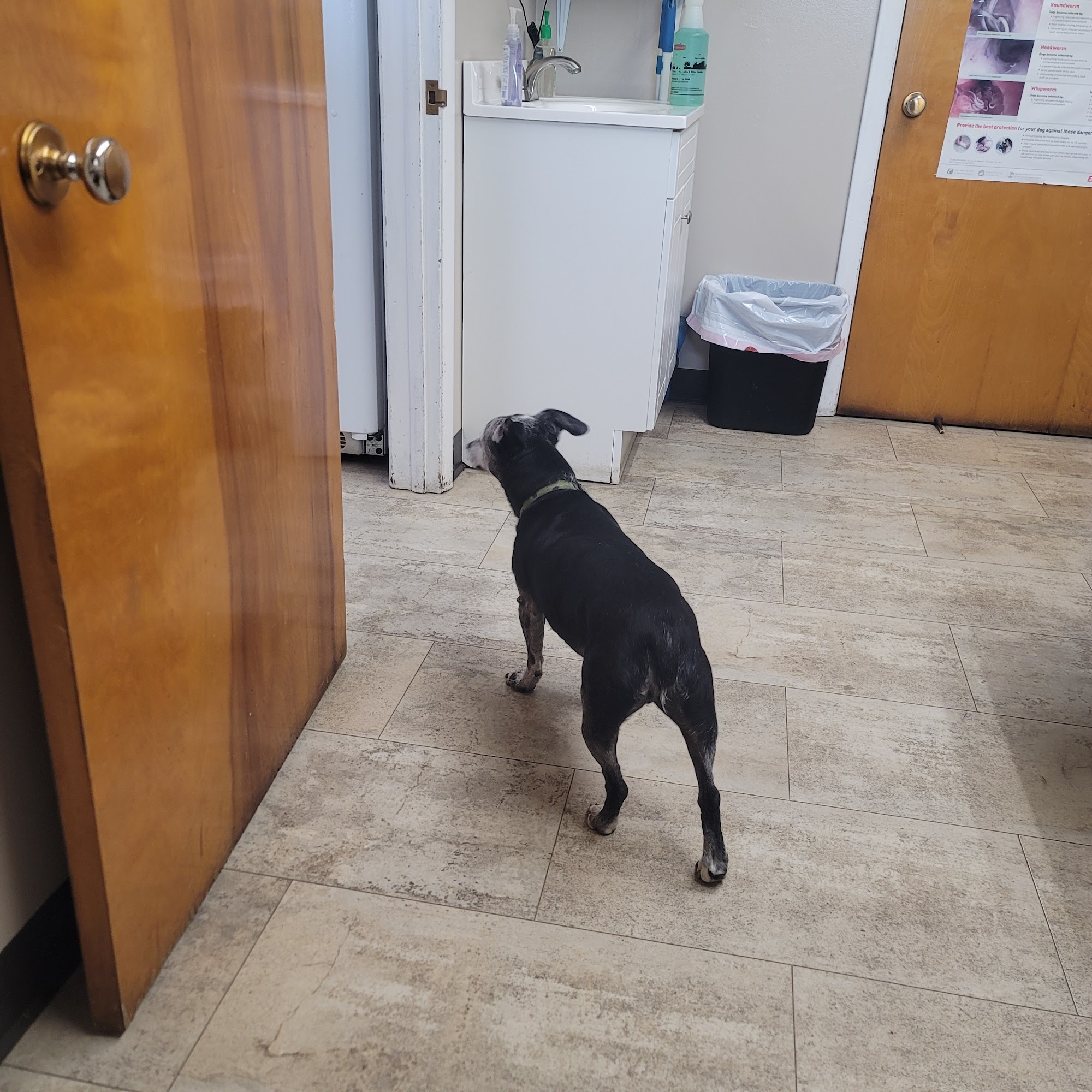 Titusville Veterinary Clinic Titusville