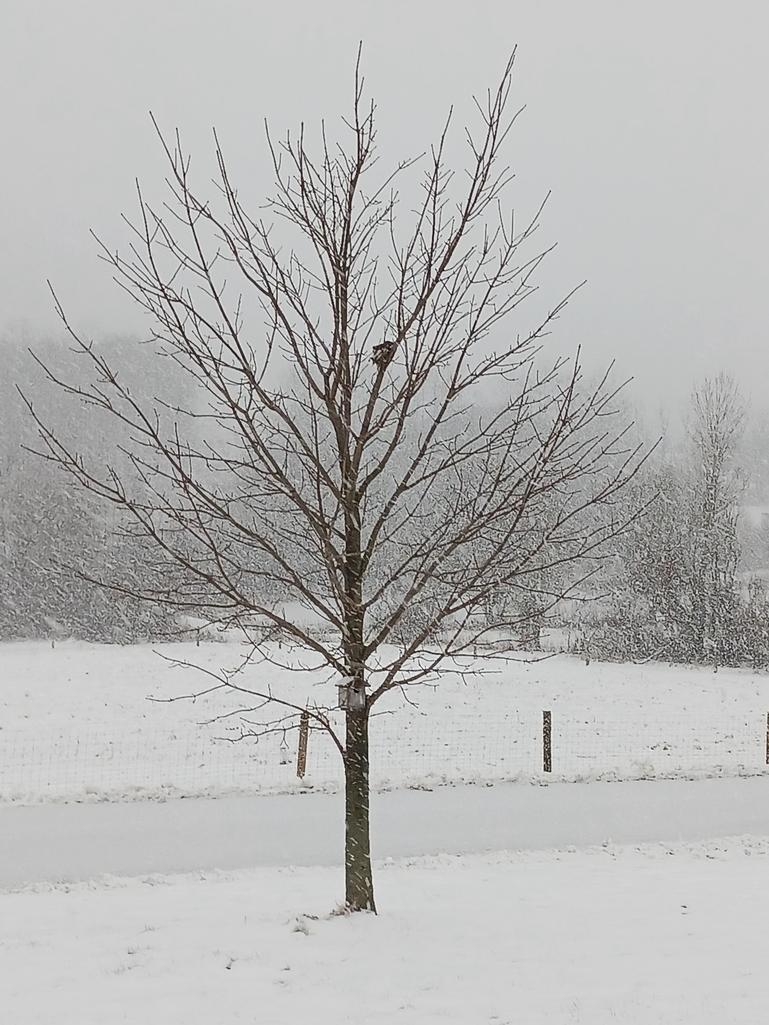 Towanda Post Office Towanda