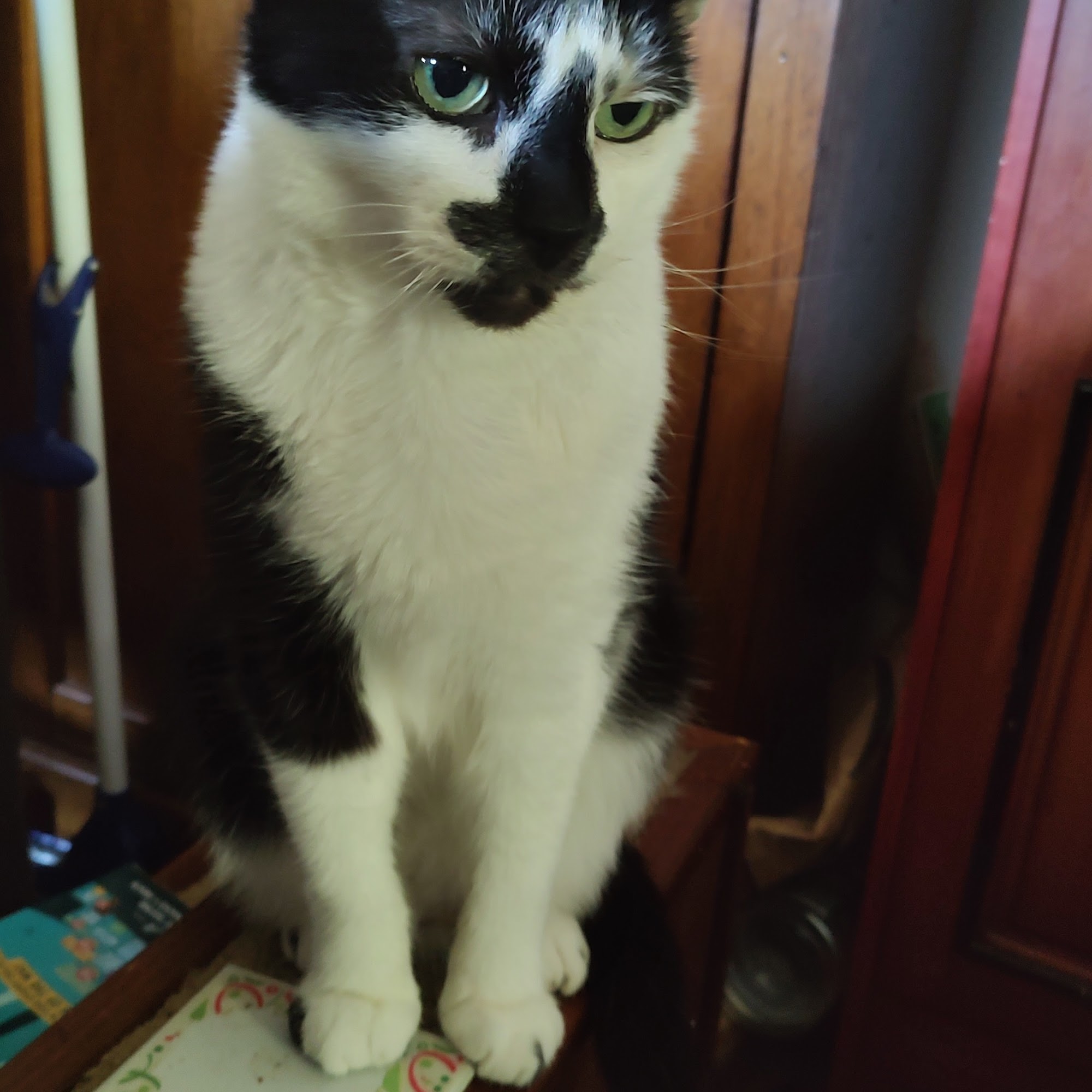 Chapman Brian R Dvm - Union City Pet Hospital Union City