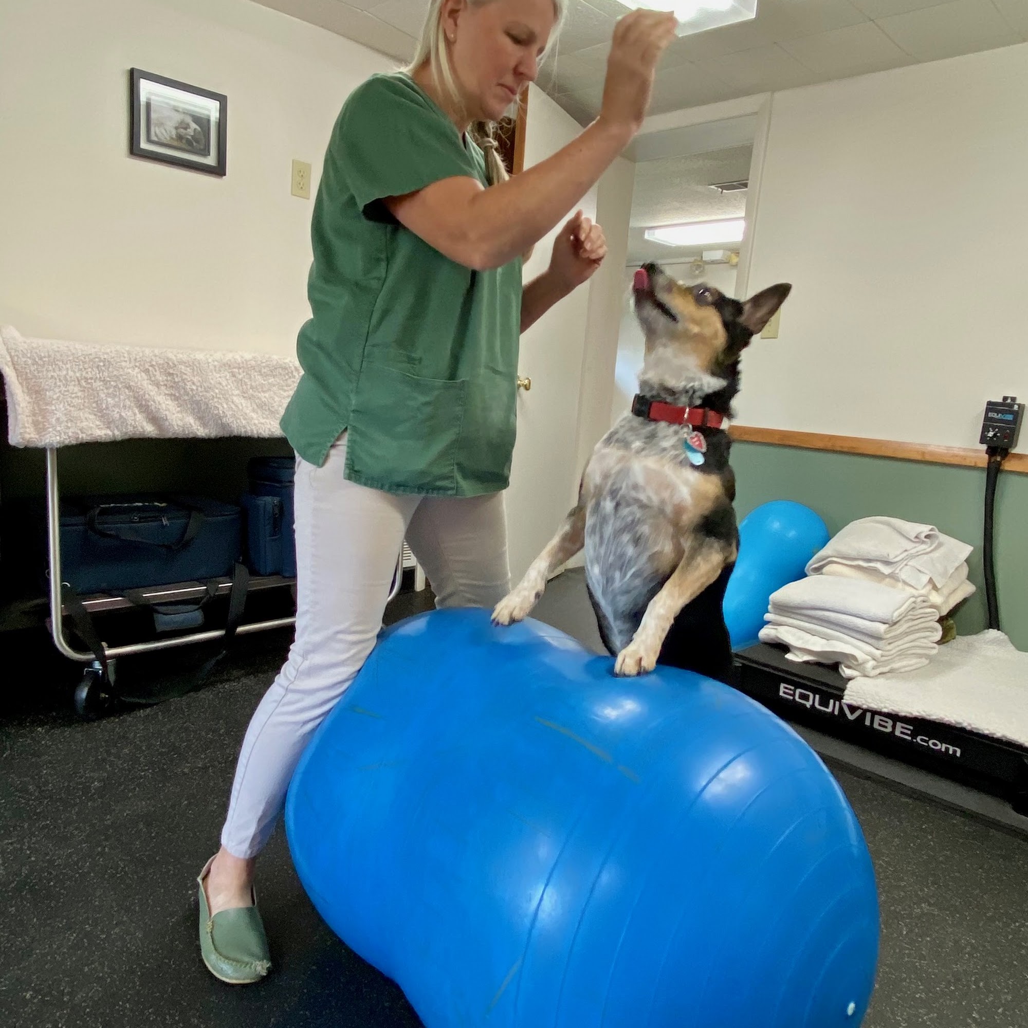 Twinbrook Animal Clinic, Inc. Valencia