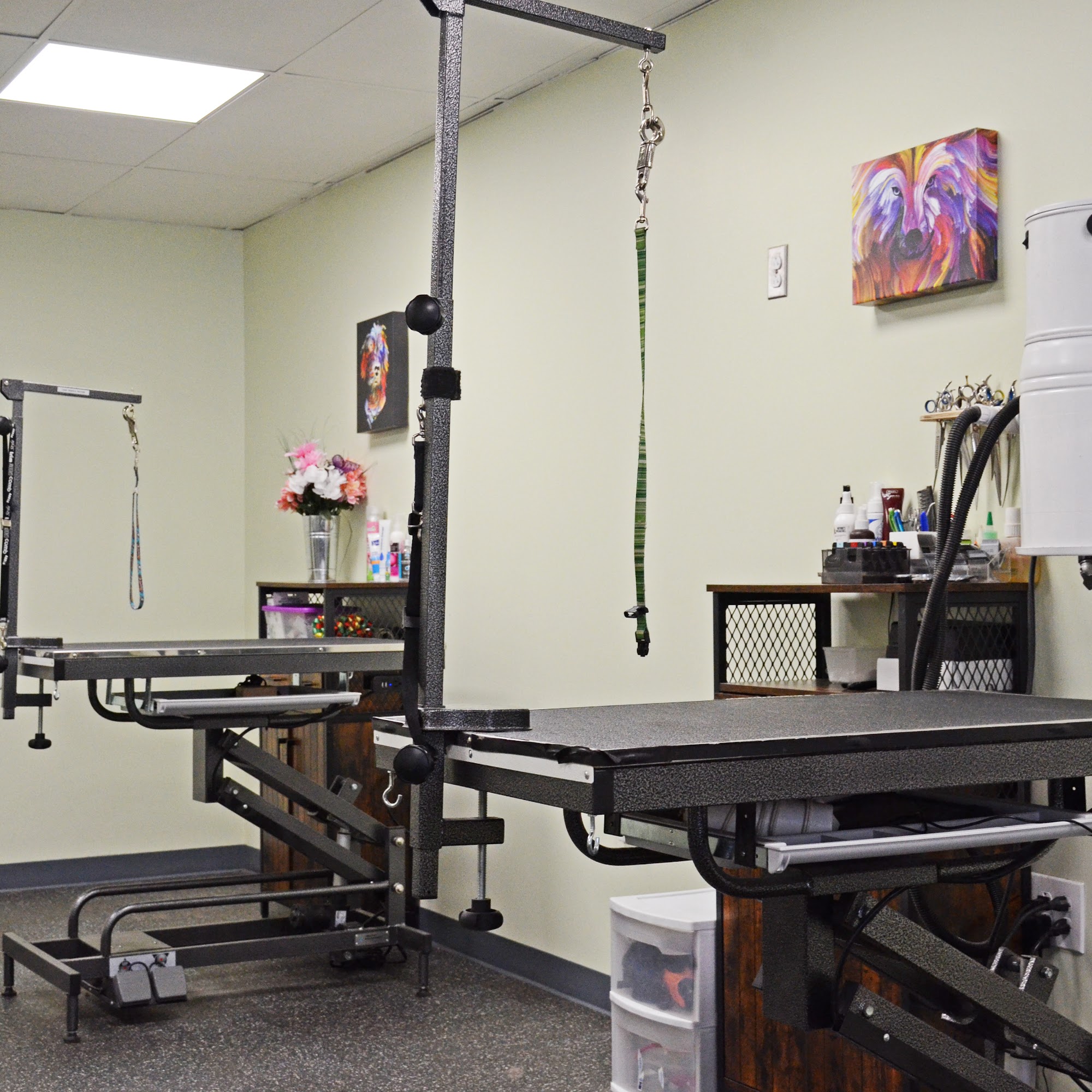 Tails of the Burgh Grooming Verona