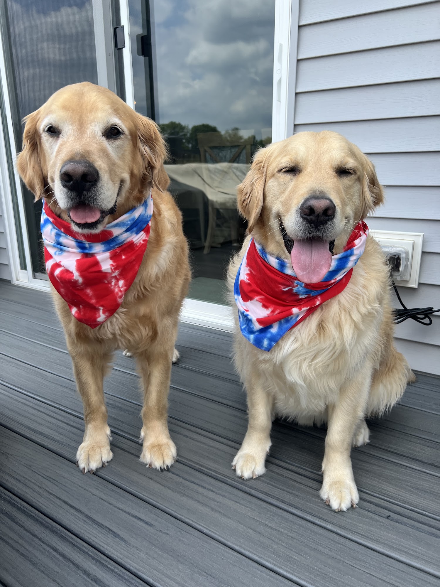 R.C. Dog Care Warminster