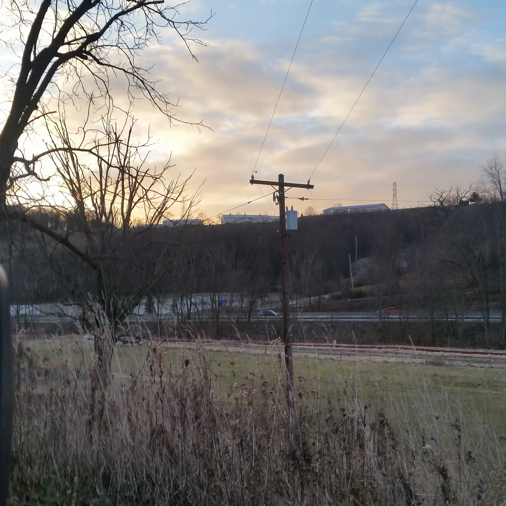 Cessna Richard D DVM Washington