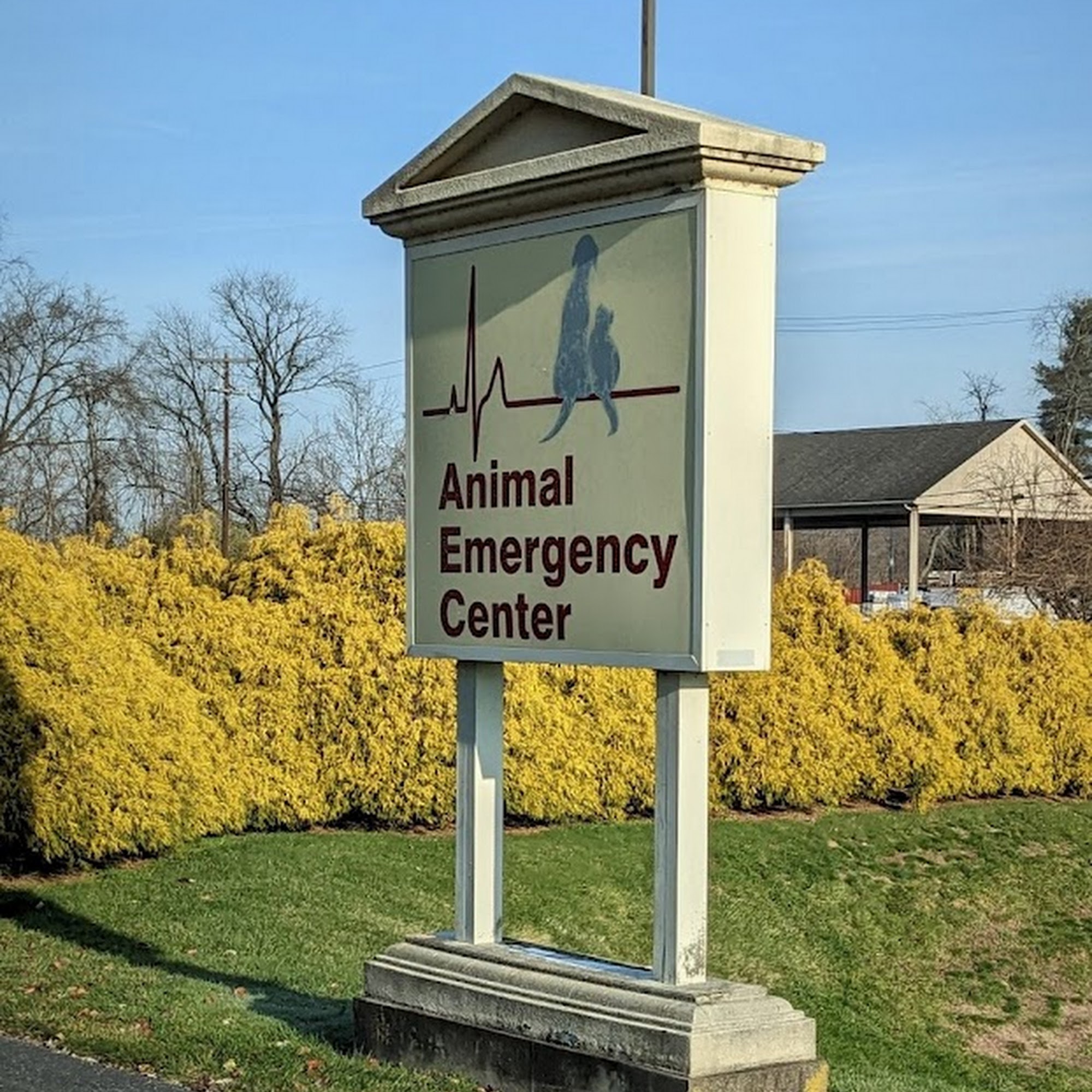 Animal Emergency Center Watsontown