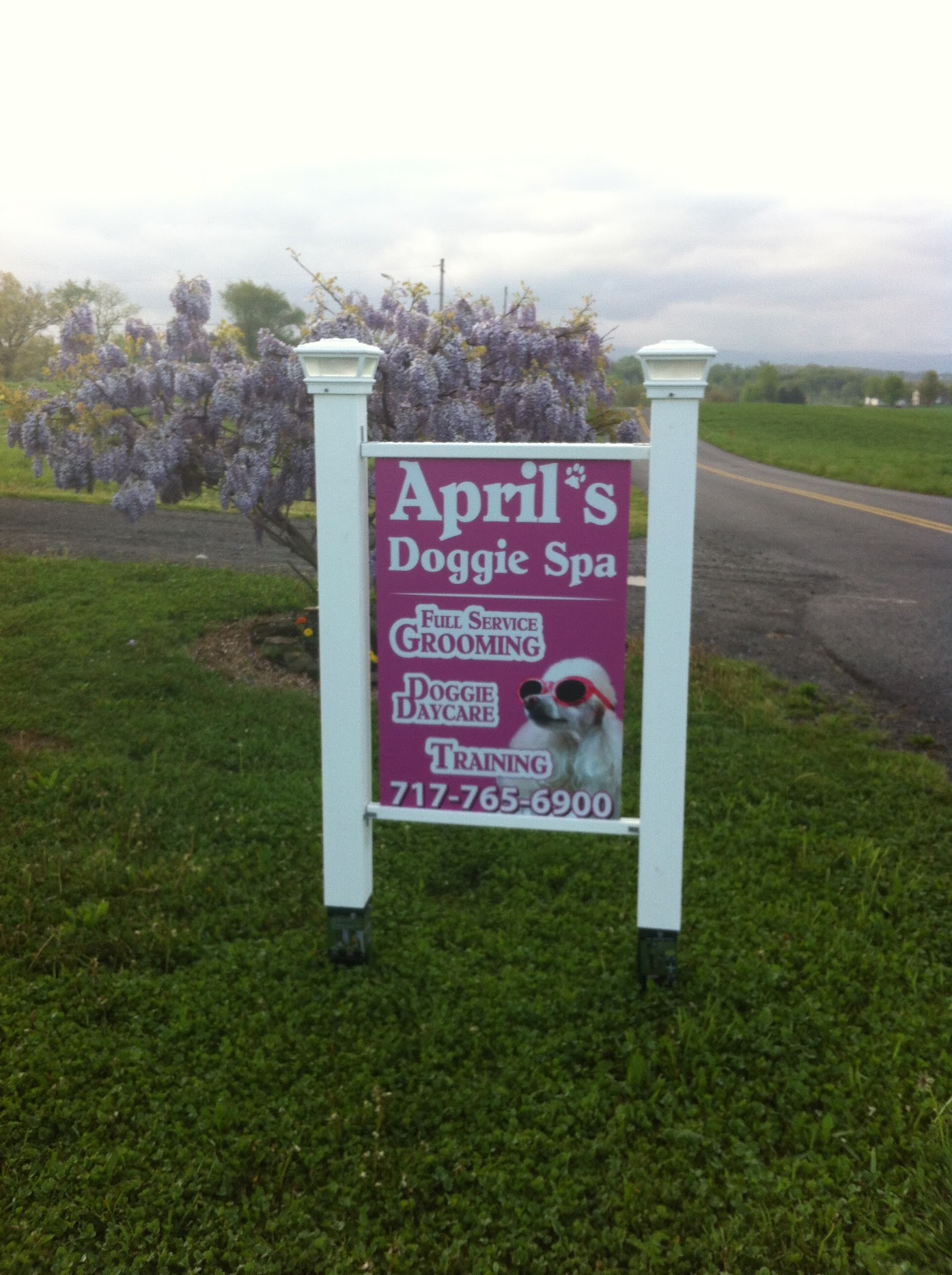 April's Doggie Spa & Training Center Waynesboro