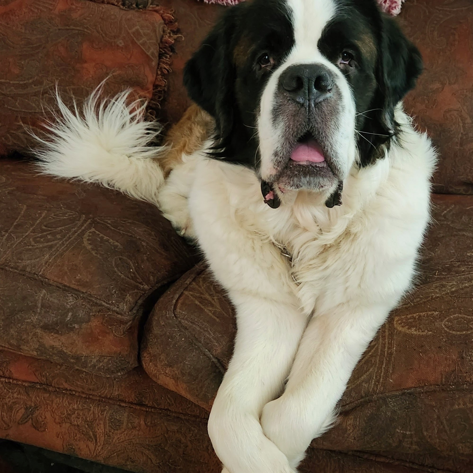 Wellsboro Veterinary Hospital & Reptile & Bird Clinic Wellsboro