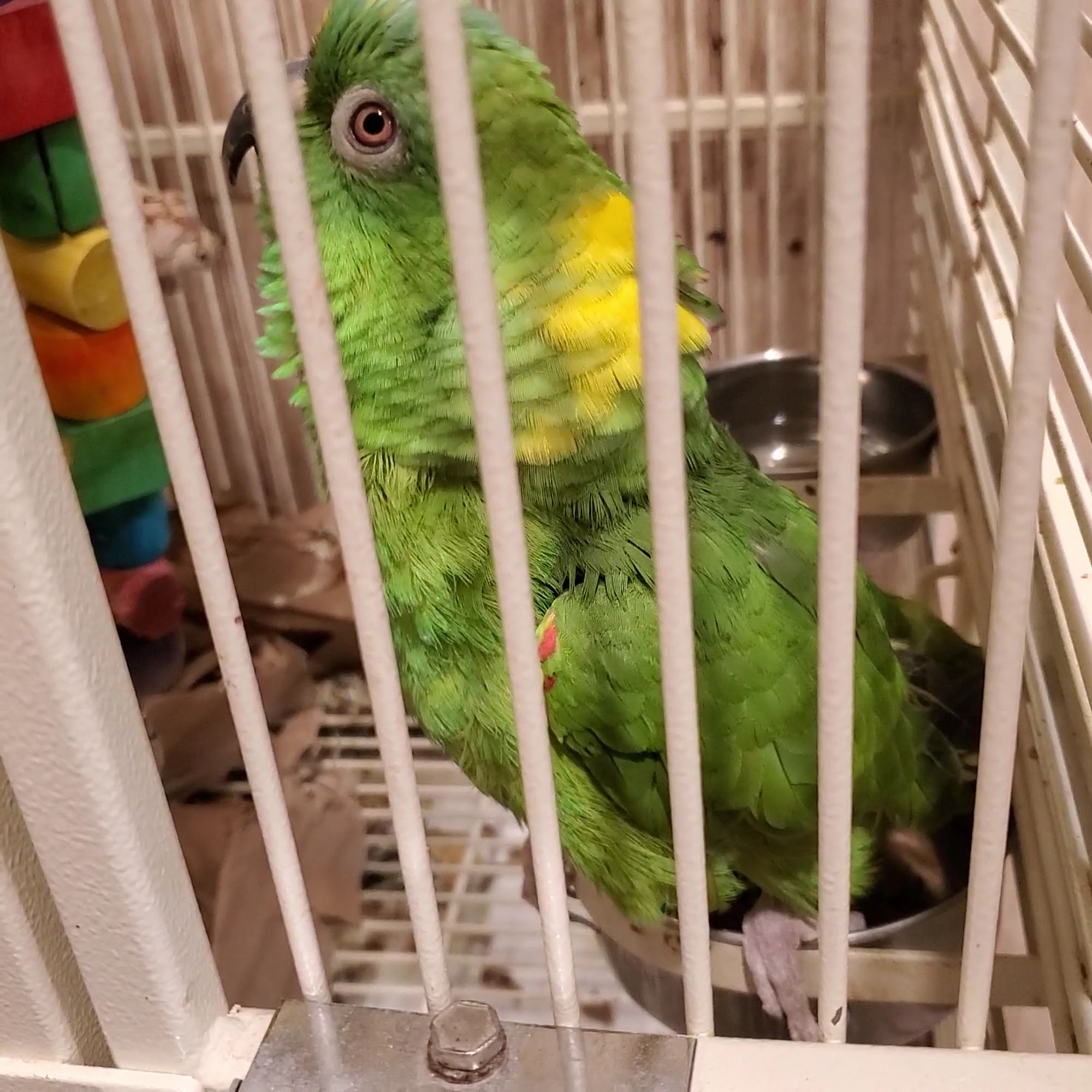 Boot Road Veterinary Clinic West Chester