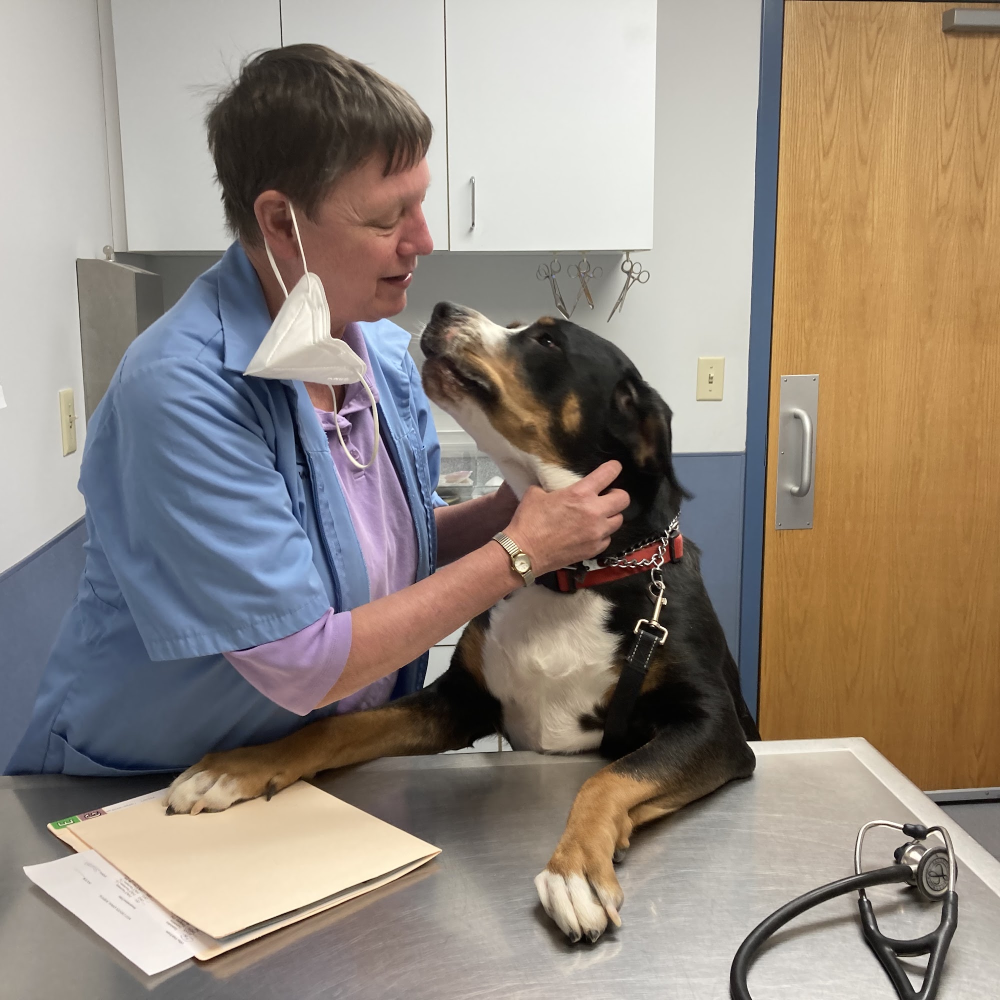 West Chester Animal Hospital West Chester