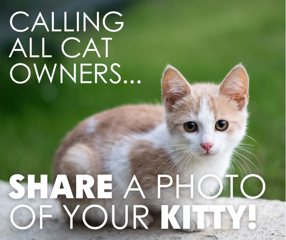 East Goshen Veterinary Center West Chester